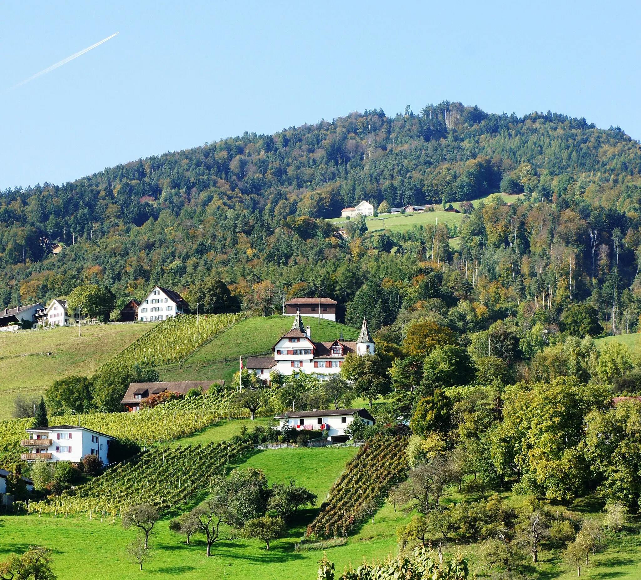 Photo showing: Etwas oberhalb und zwischen Marbach SG und Rebstein steht mitten in den Rebbergen das Schloss Weinstein. Blick aus Südosten.