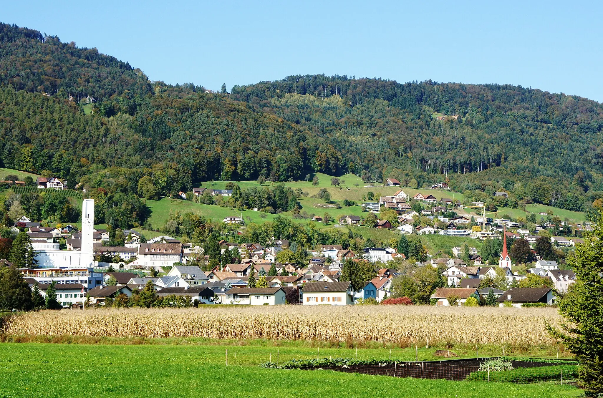 Photo showing: Das Dorf Rebstein SG aus Süden. Links die kath. Kirche, rechts davon die Burg und ganz links erkennt man den Kirchturm der ref. Kirche. Im Vordergrund eine Wiese mit Pflanzplatz (Garten), dahinter ein reifes Maisfeld. Im Hintergrund ein bewaldeter Ausläufer des Appenzeller Vorderlandes (Mohren - Gemeinde Reute AR).