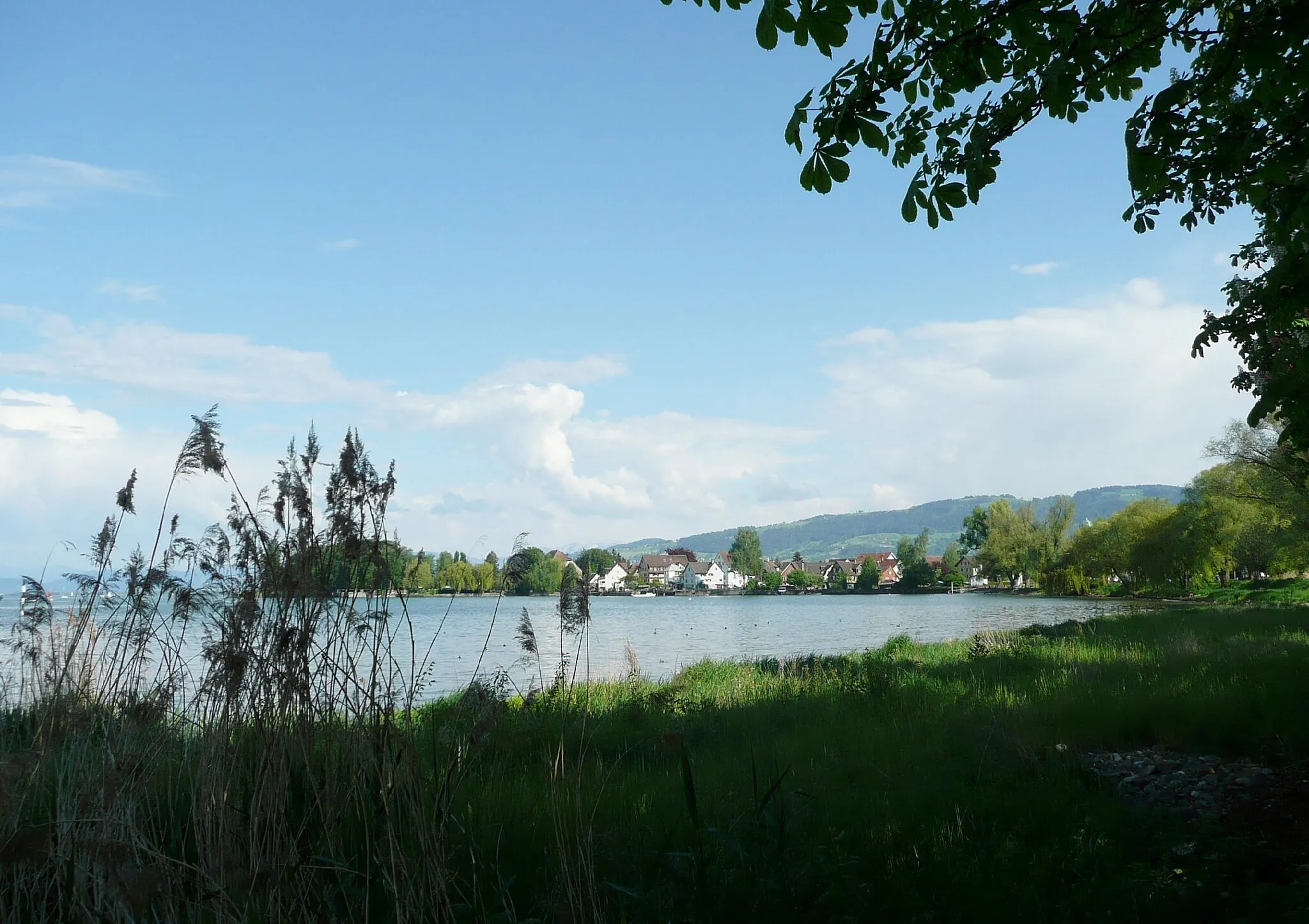 Photo showing: Lake Constance in Steinach, Switzerland