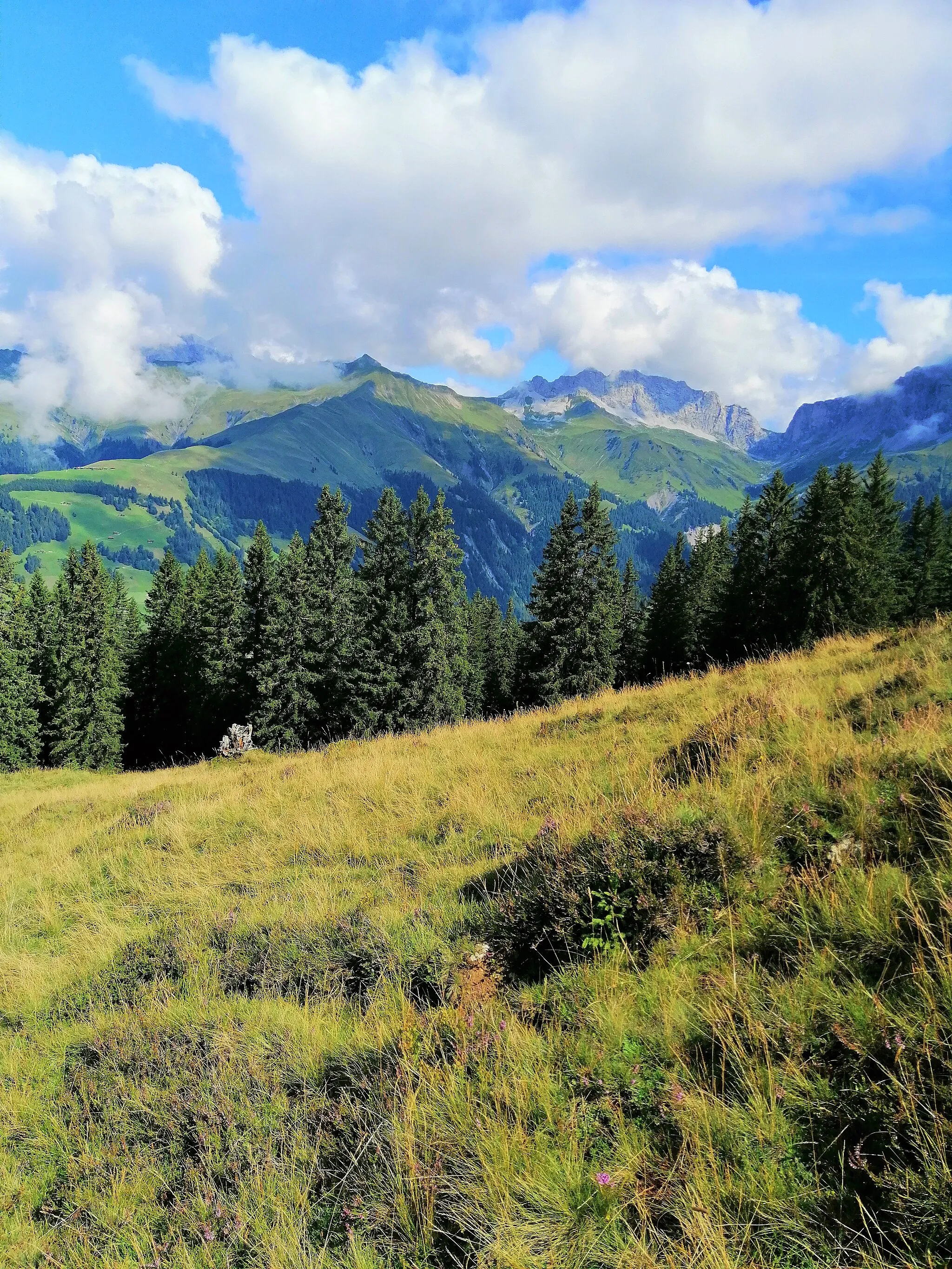 Photo showing: Girenspitz Schuders (Seewis) GR, Schweiz: 2393 m