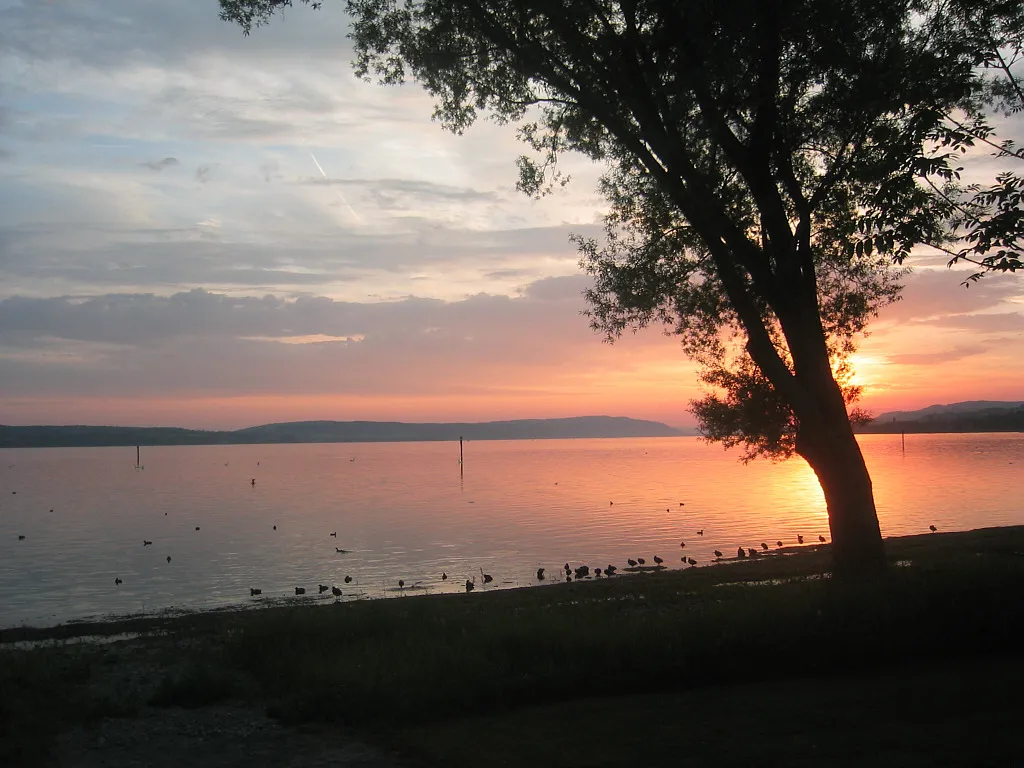 Photo showing: Bodensee (Lake Constance) Sonnenuntergang am Überlinger See.