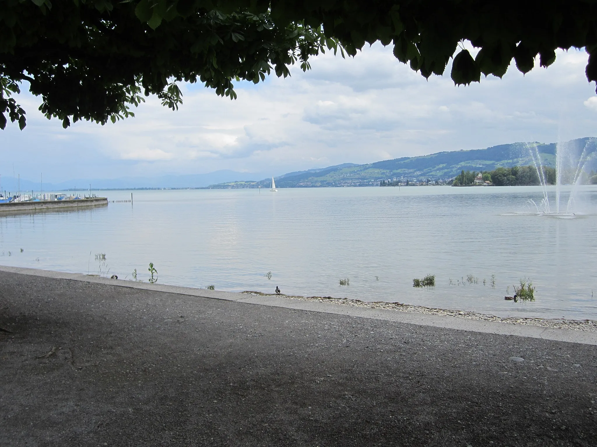 Photo showing: The view from Arbon to the lake of constance