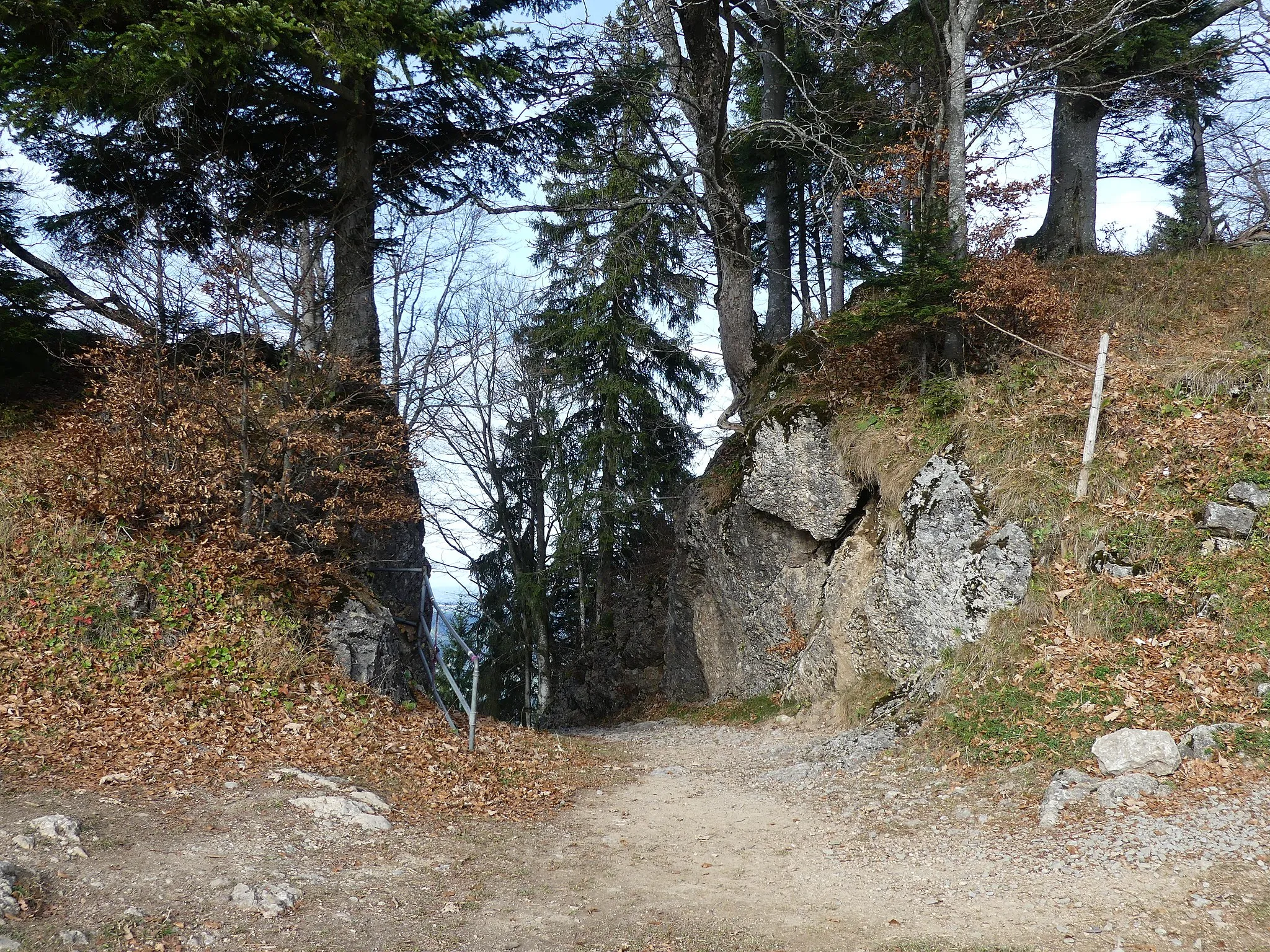 Photo showing: Das Steinerne Tor ist ein künstlicher Durchbruch im Felskamm östlich des Kojenstein in der österreichischen Gemeinde Riefensberg.