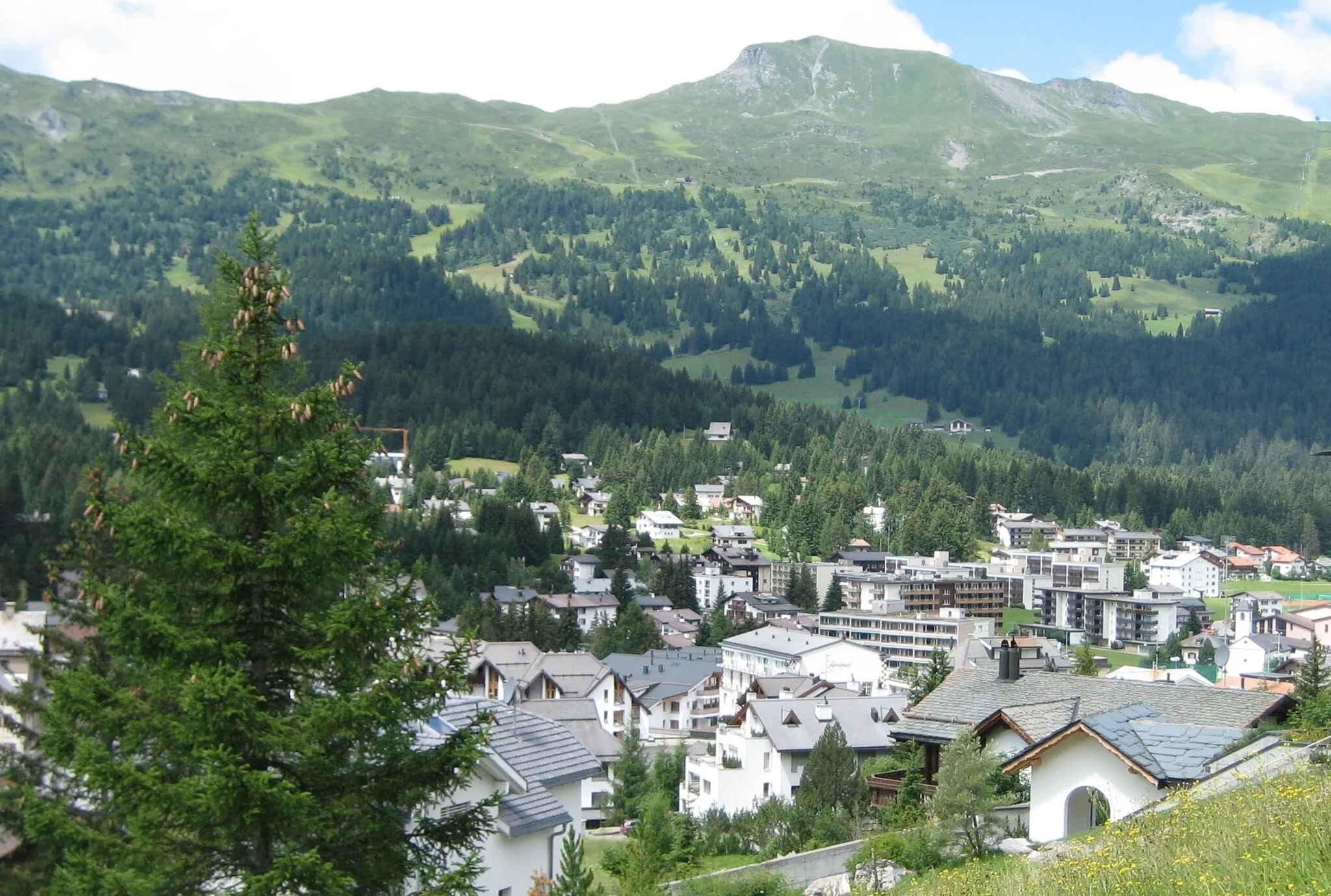 Photo showing: Lenzerheide mit Piz Danis