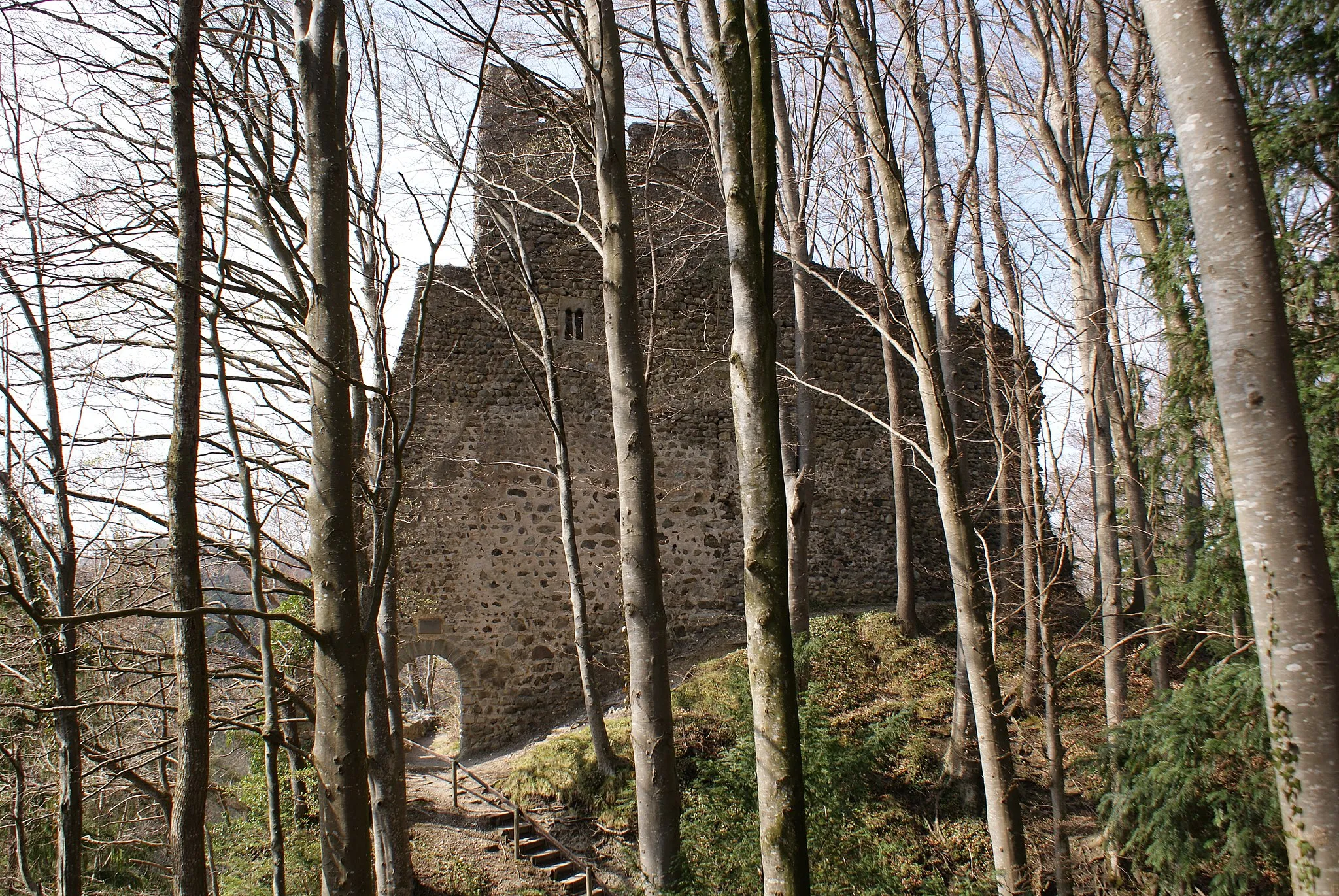 Photo showing: Ruine Alt-Ramschwag bei Häggenschwil