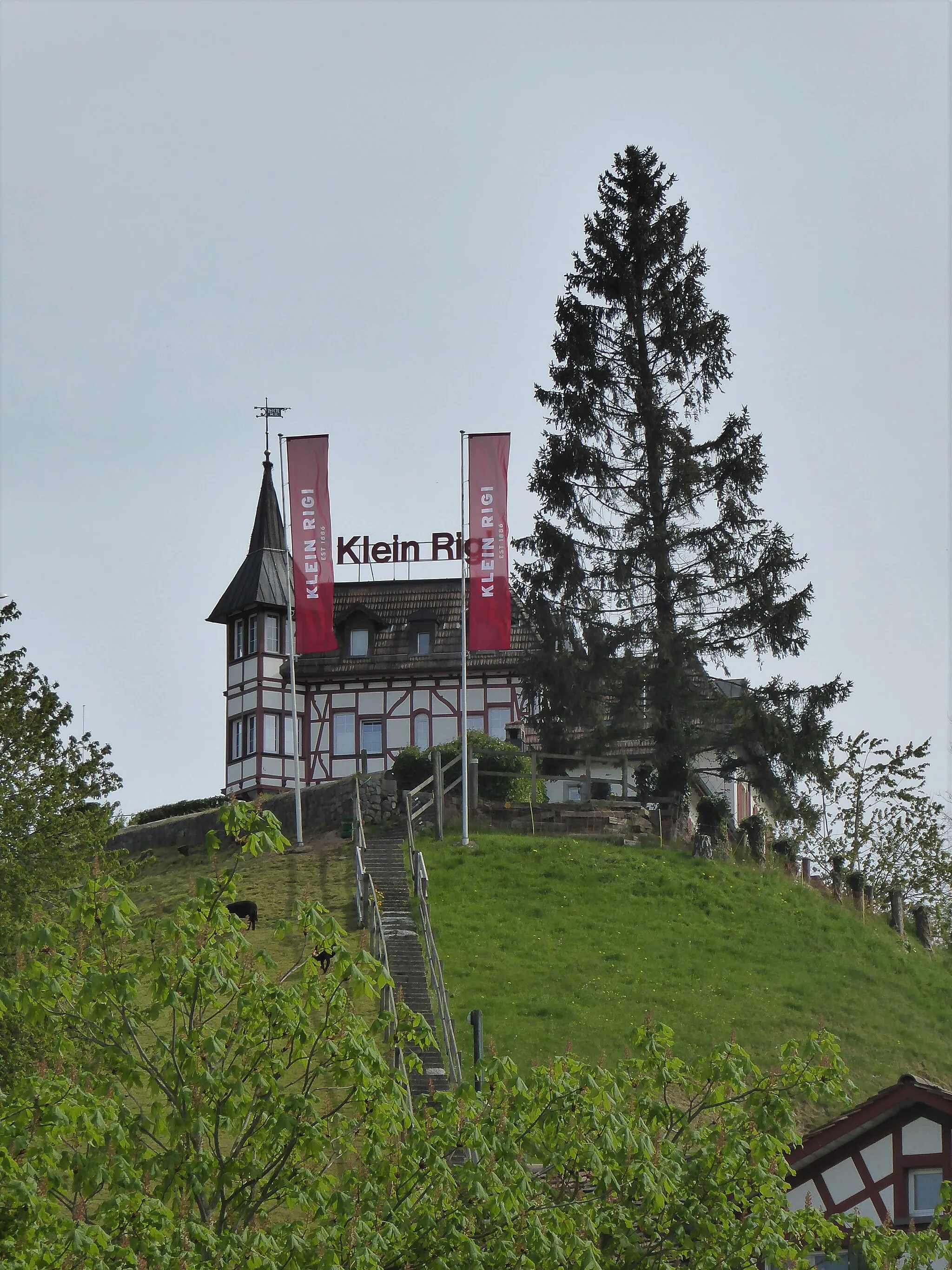 Photo showing: Klein Rigi oberhalb von Schönenberg