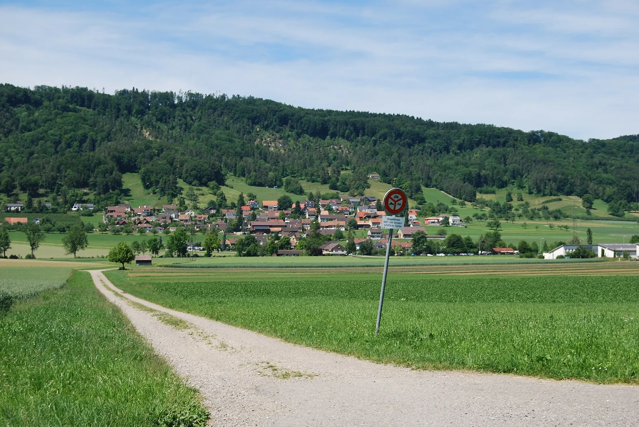Photo showing: Weingarten, municipality of Lommis, canton of Thurgovia, Switzerland