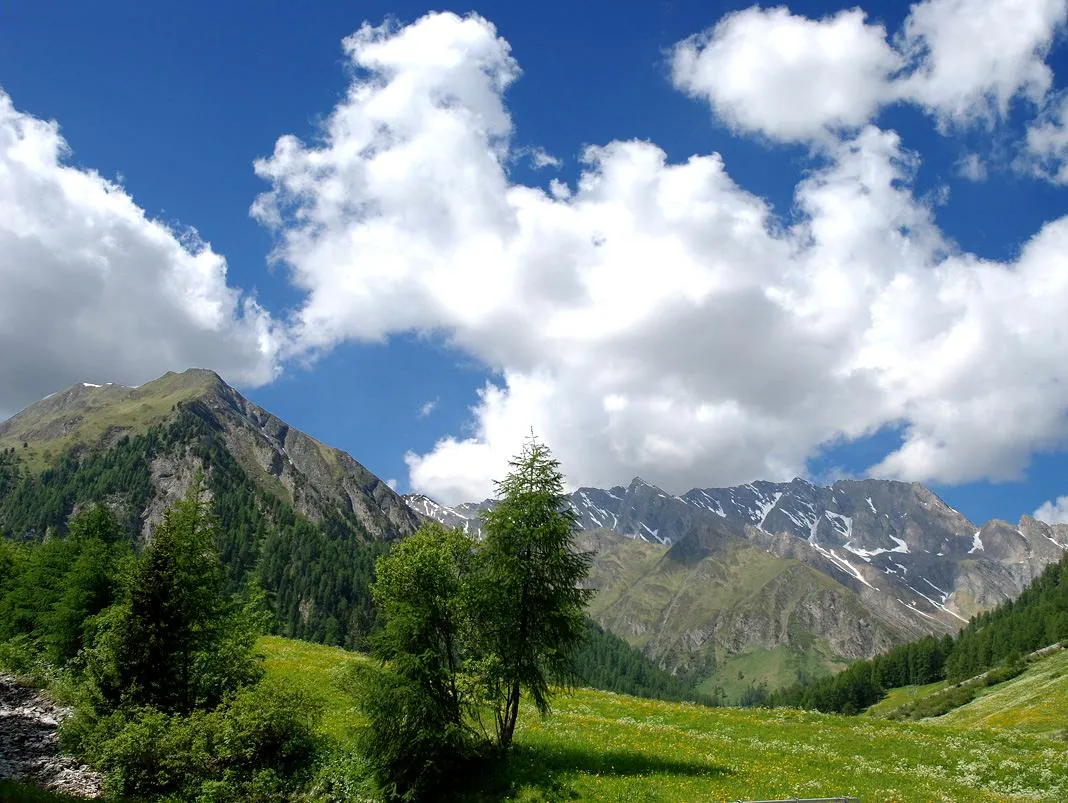 Photo showing: View near Samnaun, Graubünden