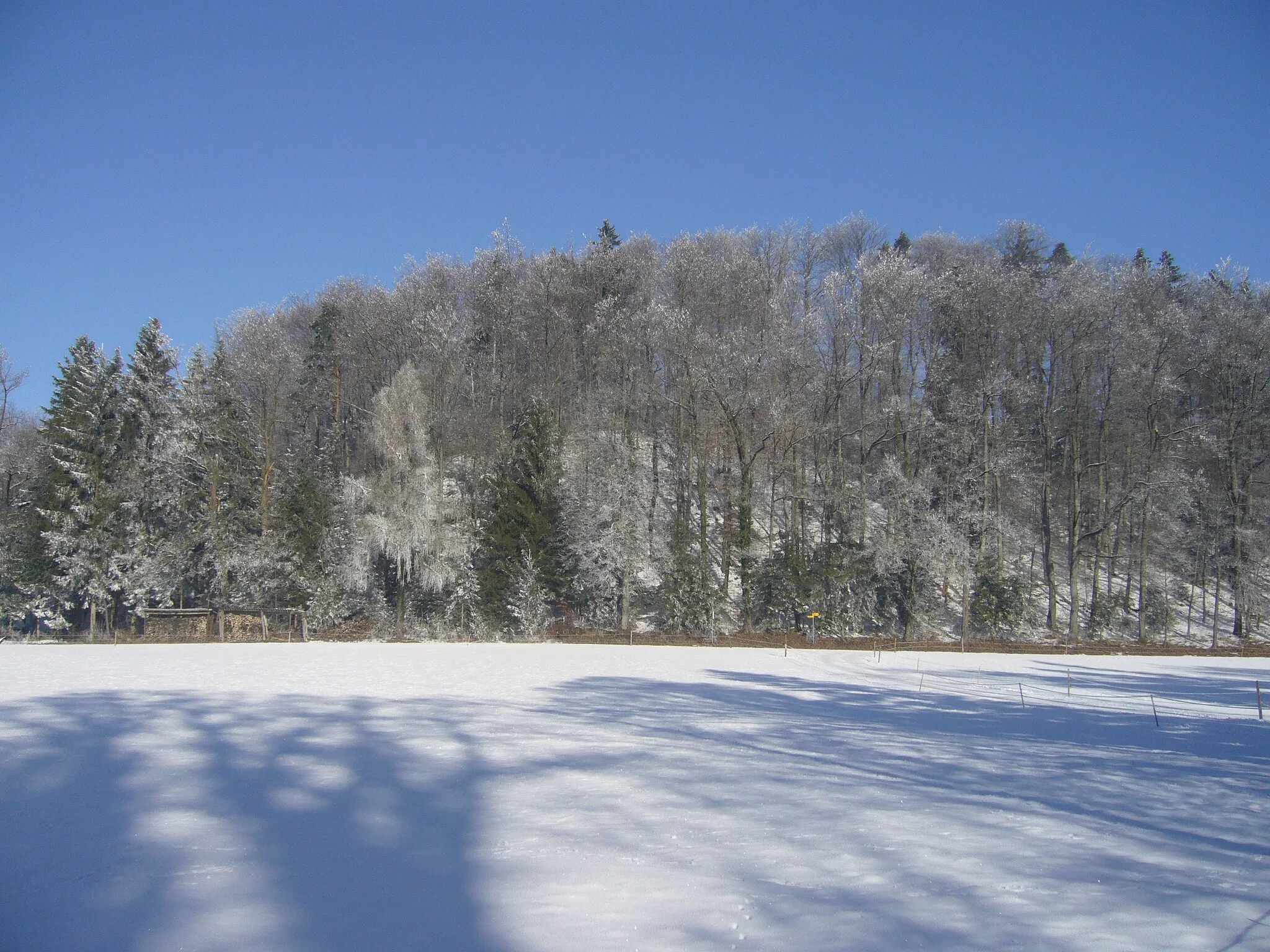 Photo showing: Blick von Südsüdwesten auf den Holzacker.