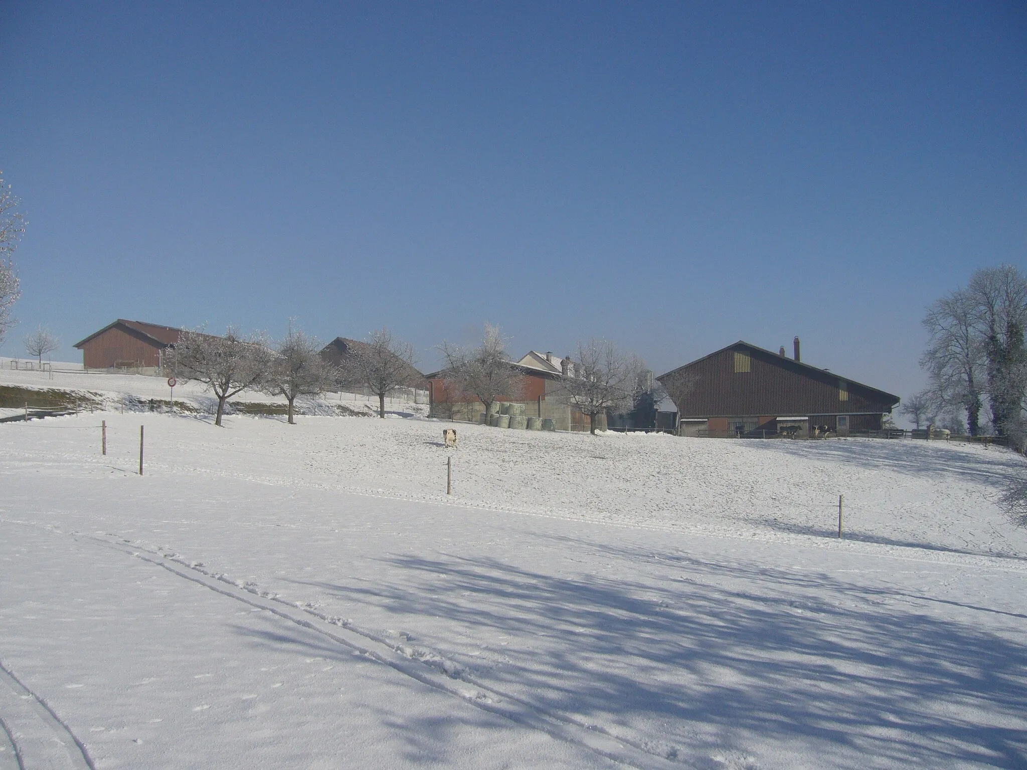 Photo showing: Bauernhöfe am Dorfausgange von Wetzikon im Thurgau.