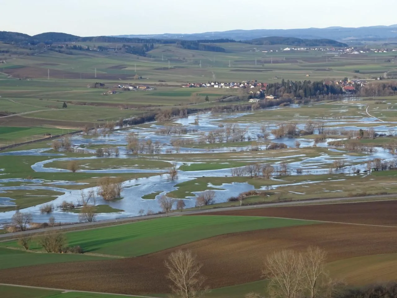 Photo showing: Retensionsflächen der jungen Donau in Richtung Neudingen