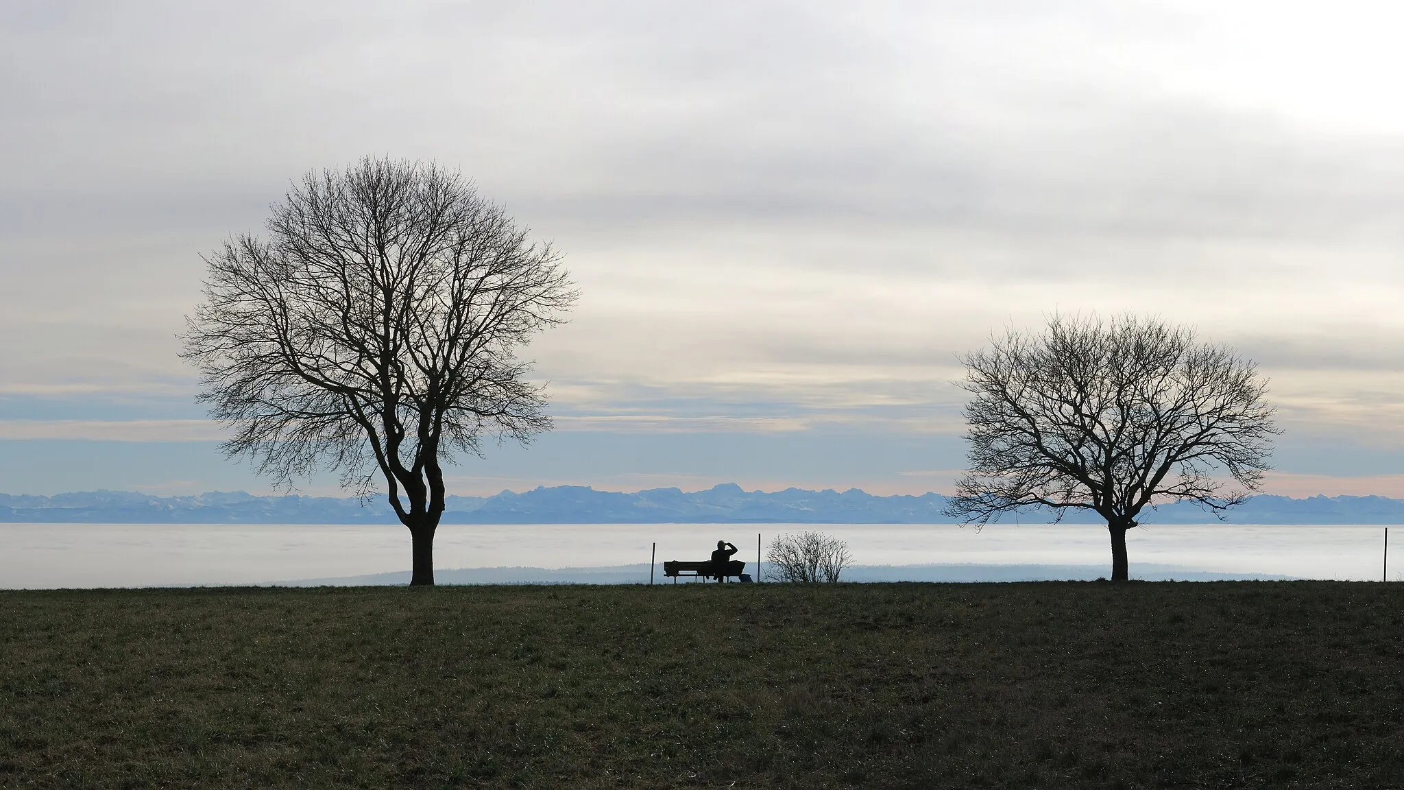 Photo showing: Man enjoying the view from the Witthoh with a good view of the Alps