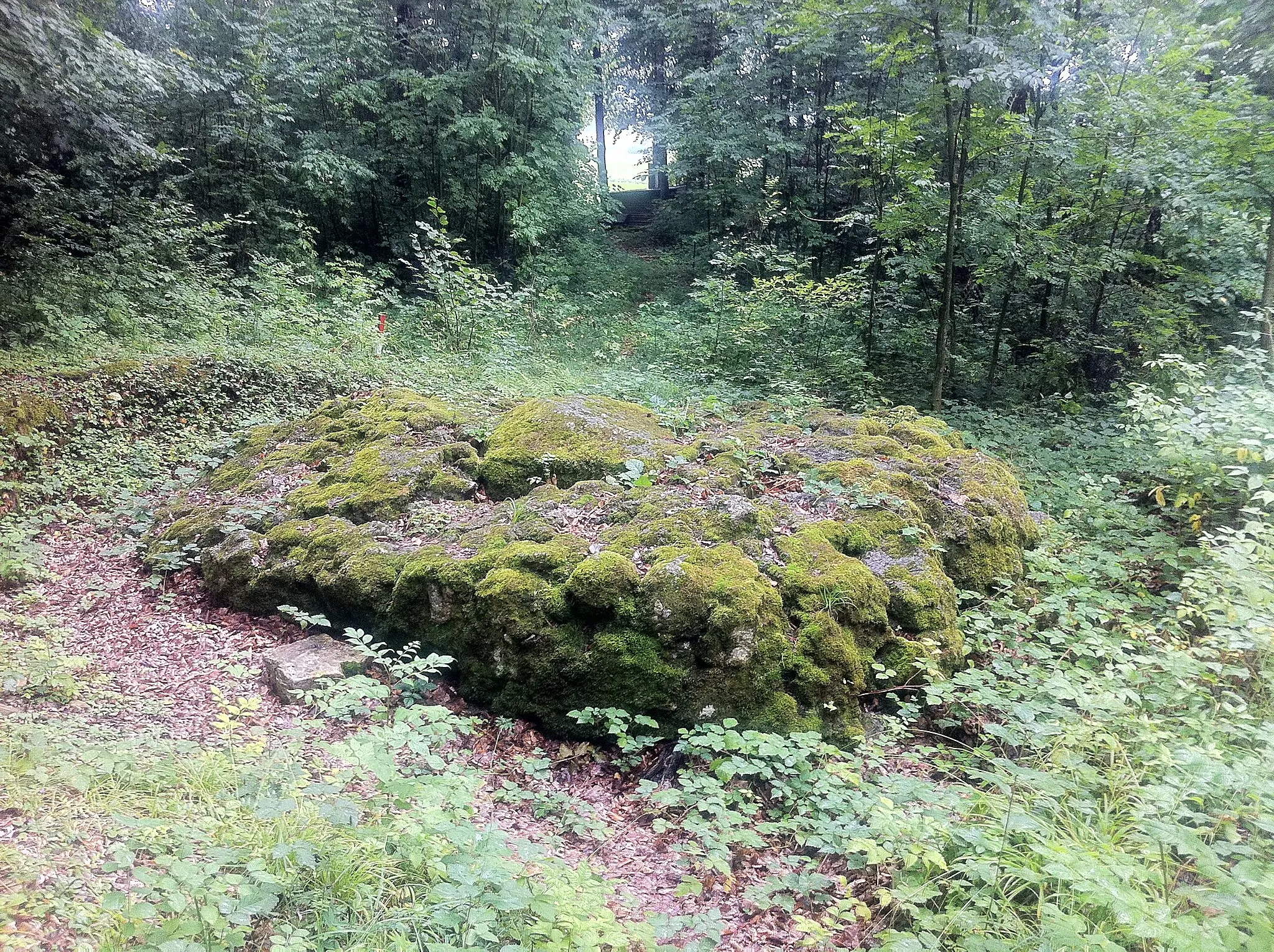 Photo showing: Roderichstein bei Gennersbrunn