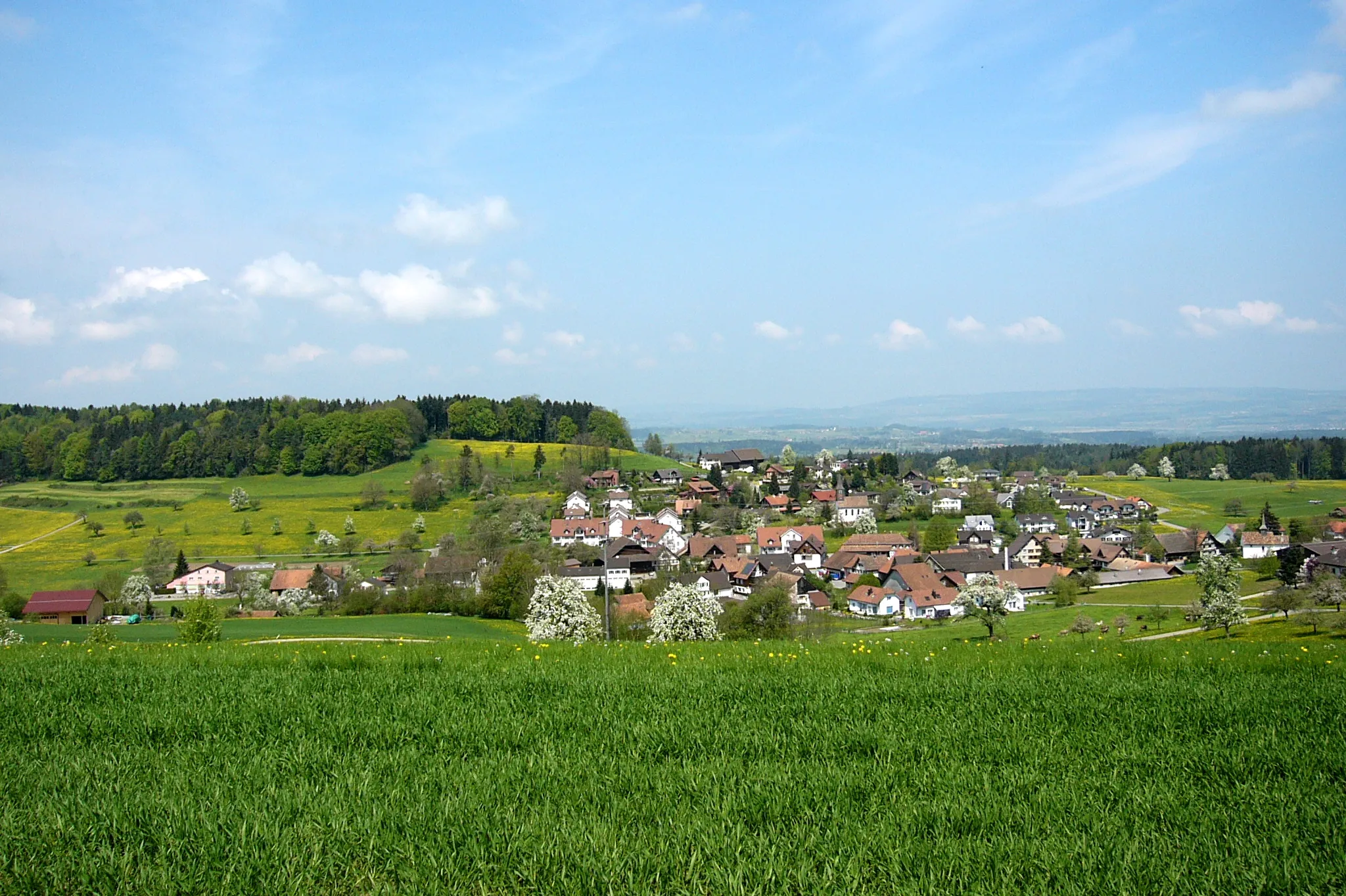 Photo showing: Picture shows the village of Braunau, canton of Thurgau, Switzerland. View from the Brunauer Höchi towards north.