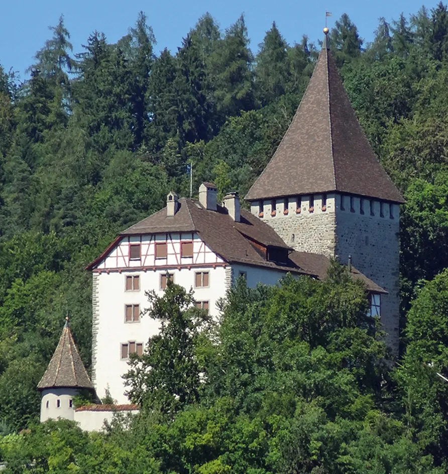 Photo showing: Castle of Weinfelden, Switzerland
