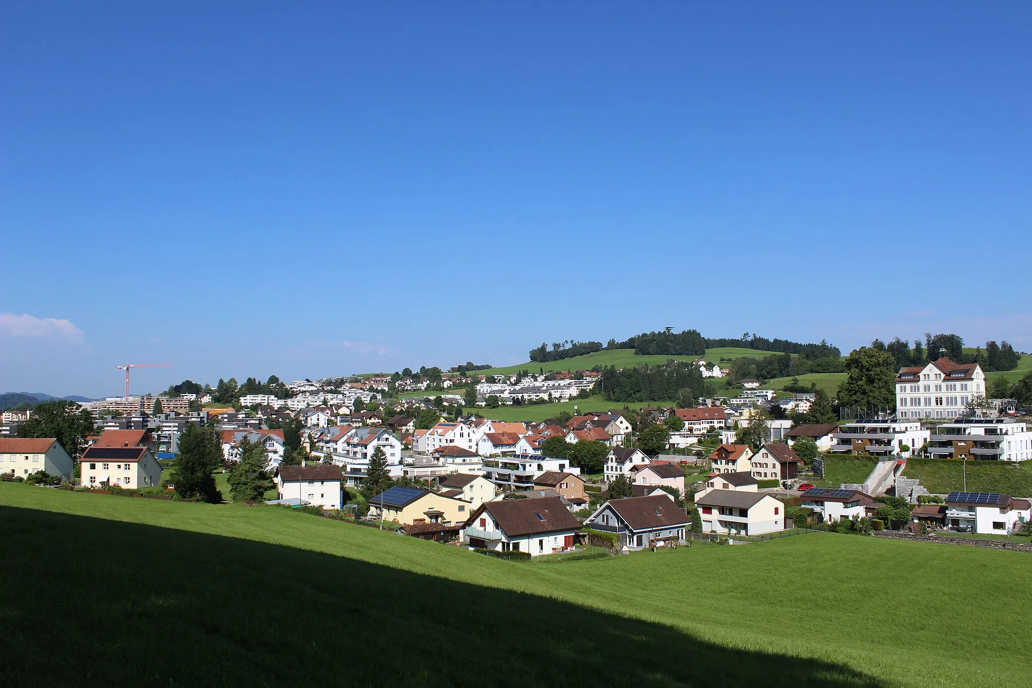 Photo showing: Rossrüti mit Wiler Turm im Hintergrund