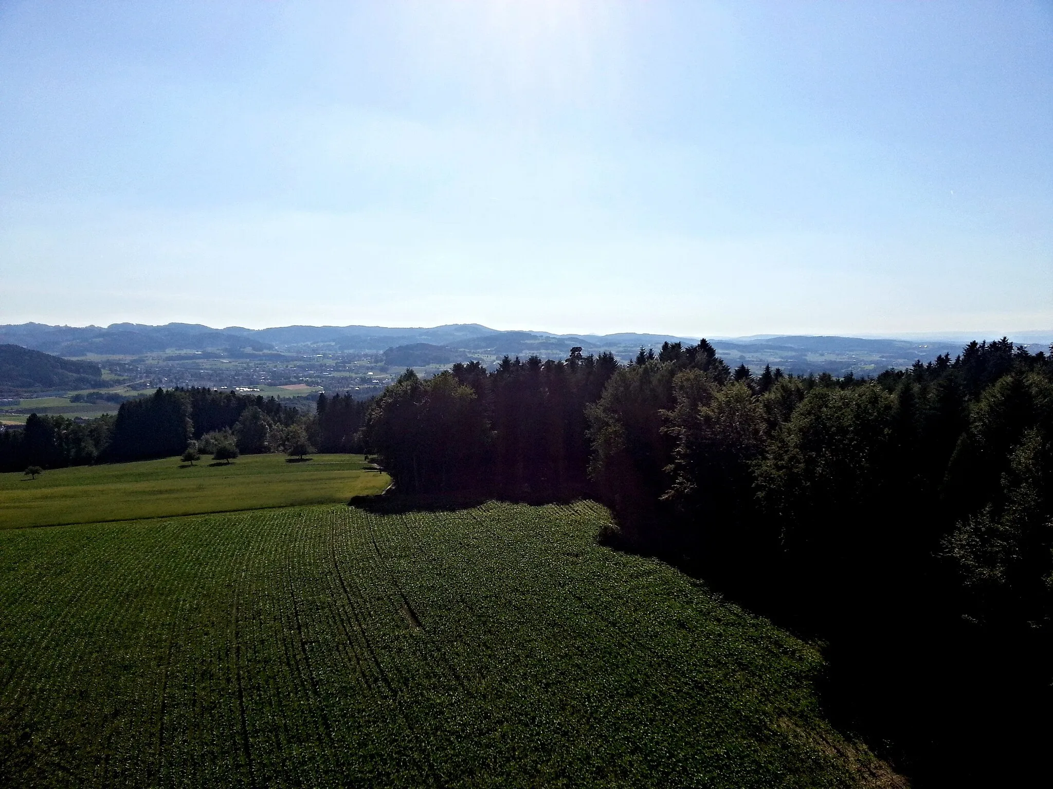 Photo showing: Aussicht vom Wiler Turm Richtung Westen