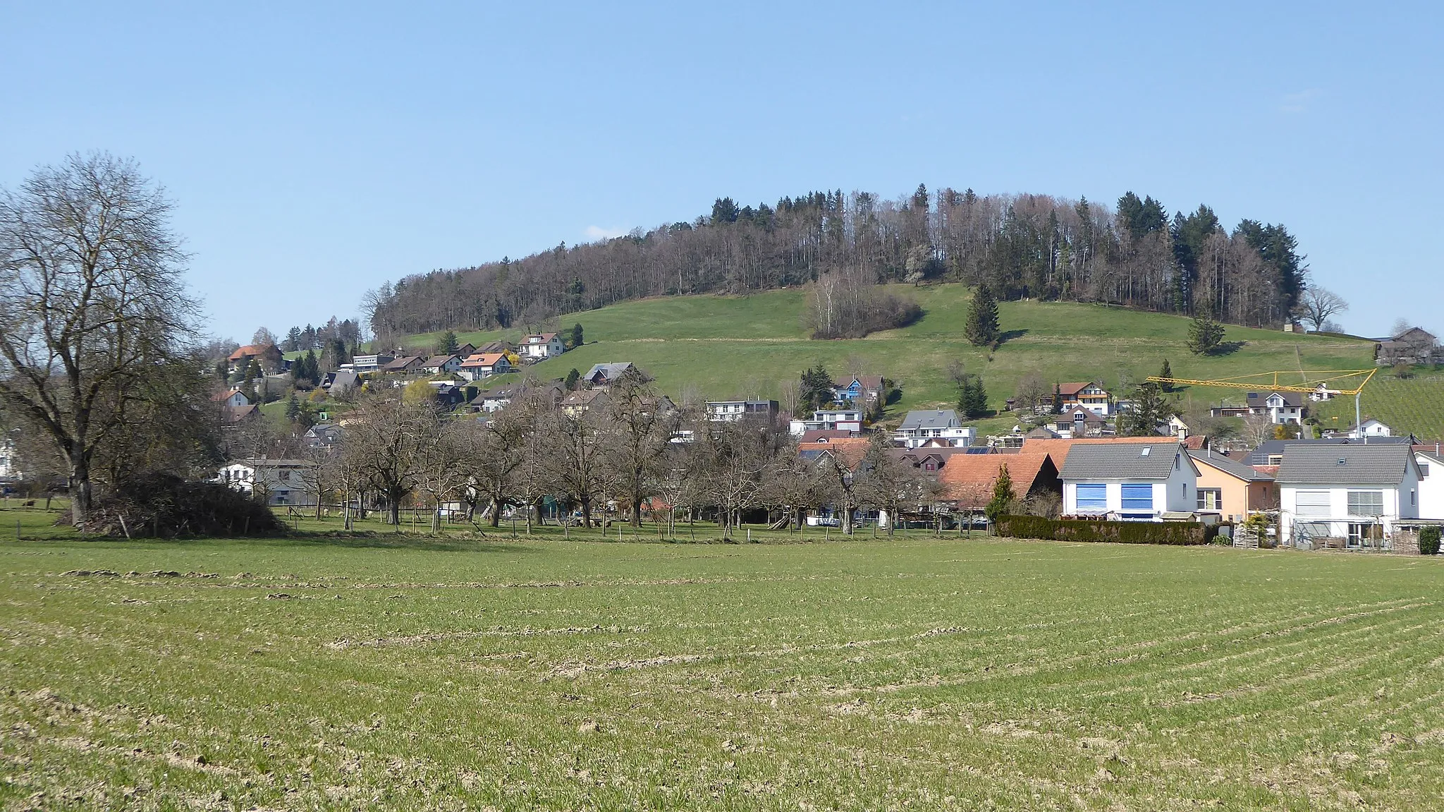 Photo showing: Ettenhausen, Ansicht von Süden