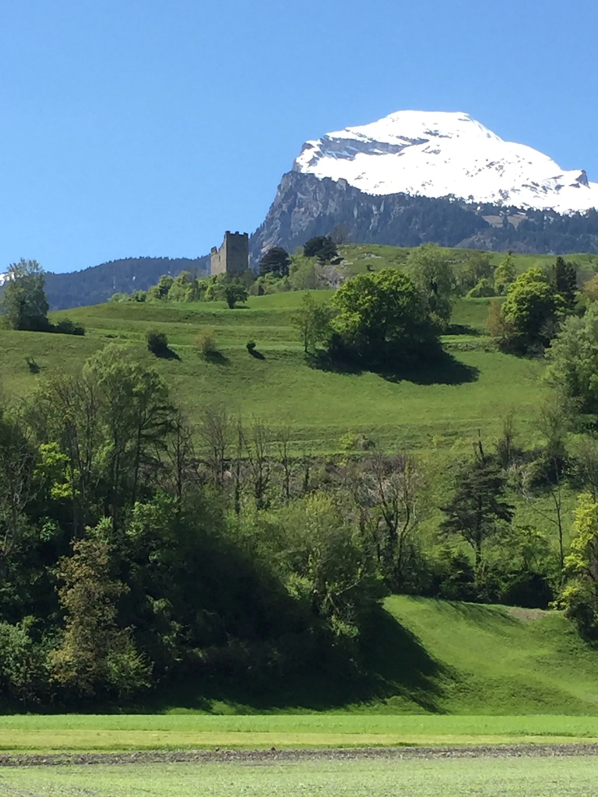 Photo showing: Wartau Castle from the B13 road south of Sevelen, Canton of St. Gallen