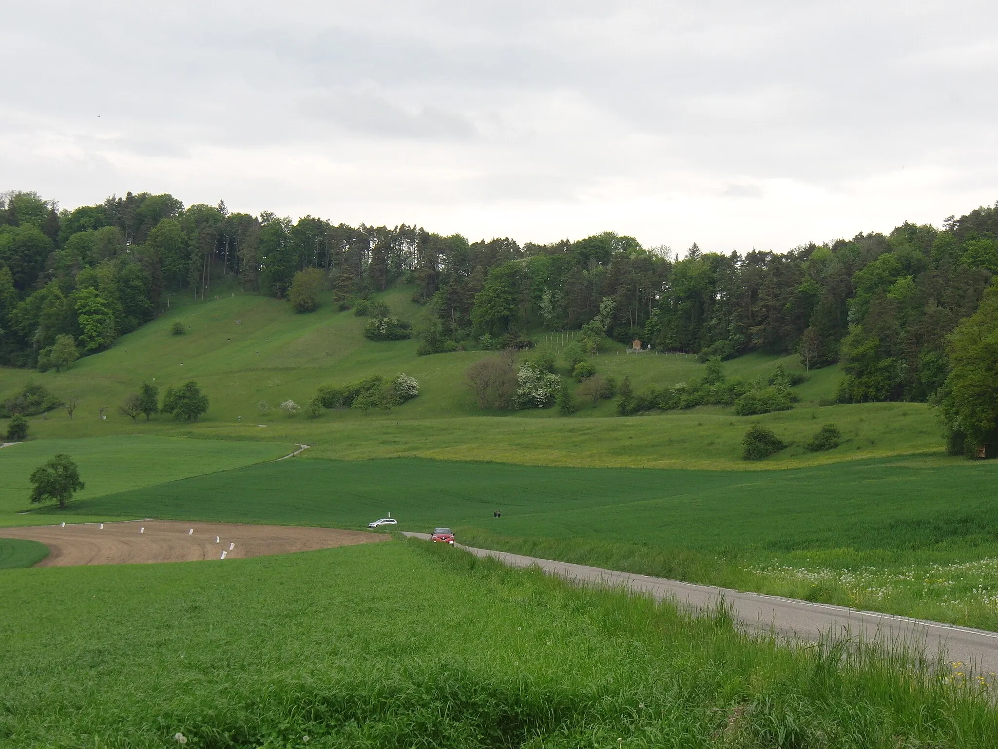 Photo showing: Blick auf das Naturschutzgebiet Hoh Wülflingen am Hang vom Dättnauerweiher her gesehen.