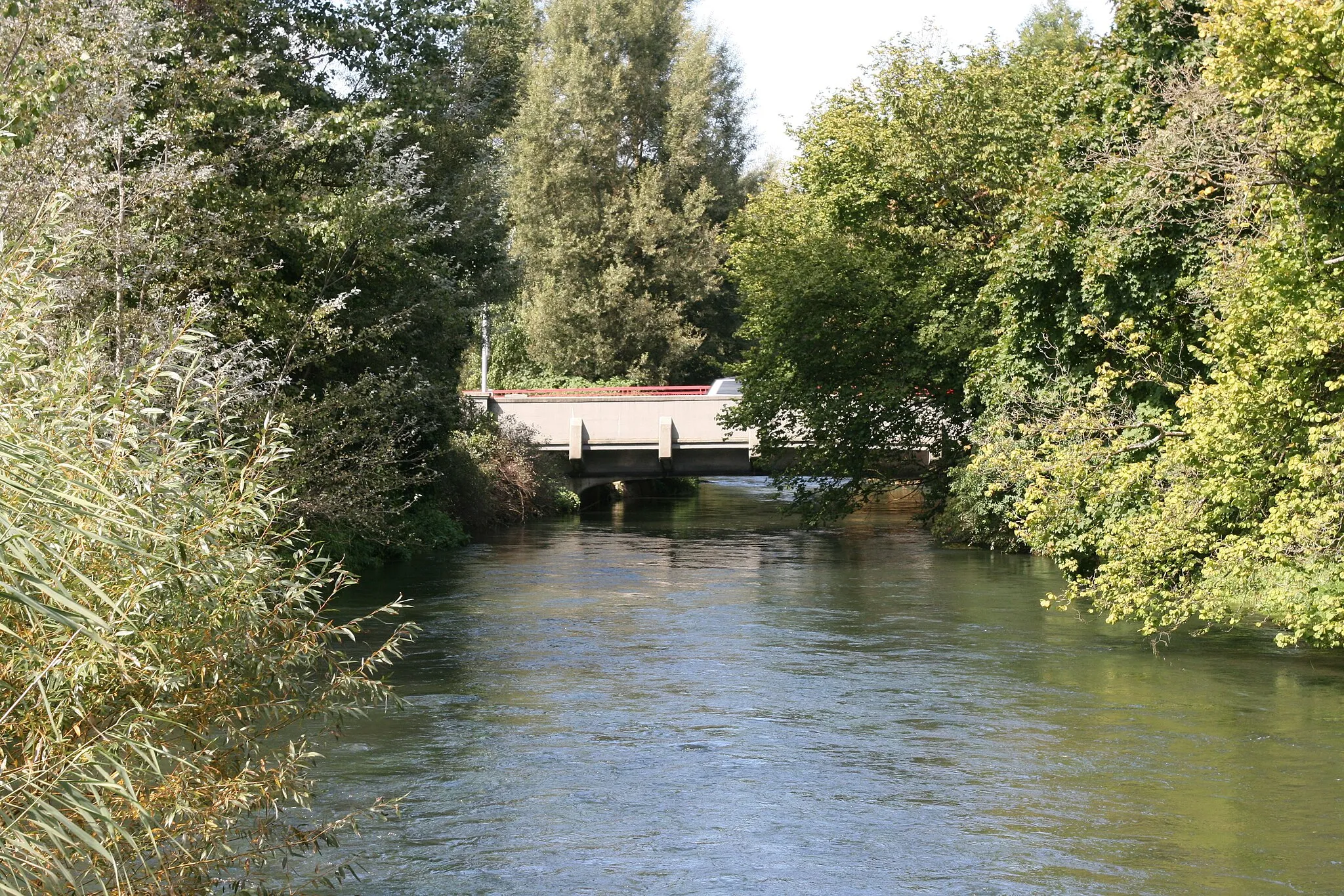 Photo showing: Radolfzeller Aach im Stadtgarten in Singen (Hohentwiel)