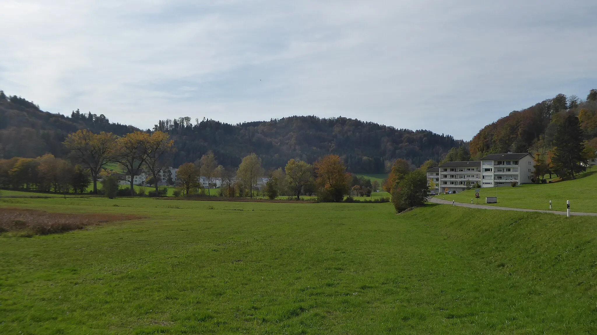 Photo showing: Blick auf Littenheid. Das Klinikareal befindet sich hinter den Bäumen in der Bildmitte.