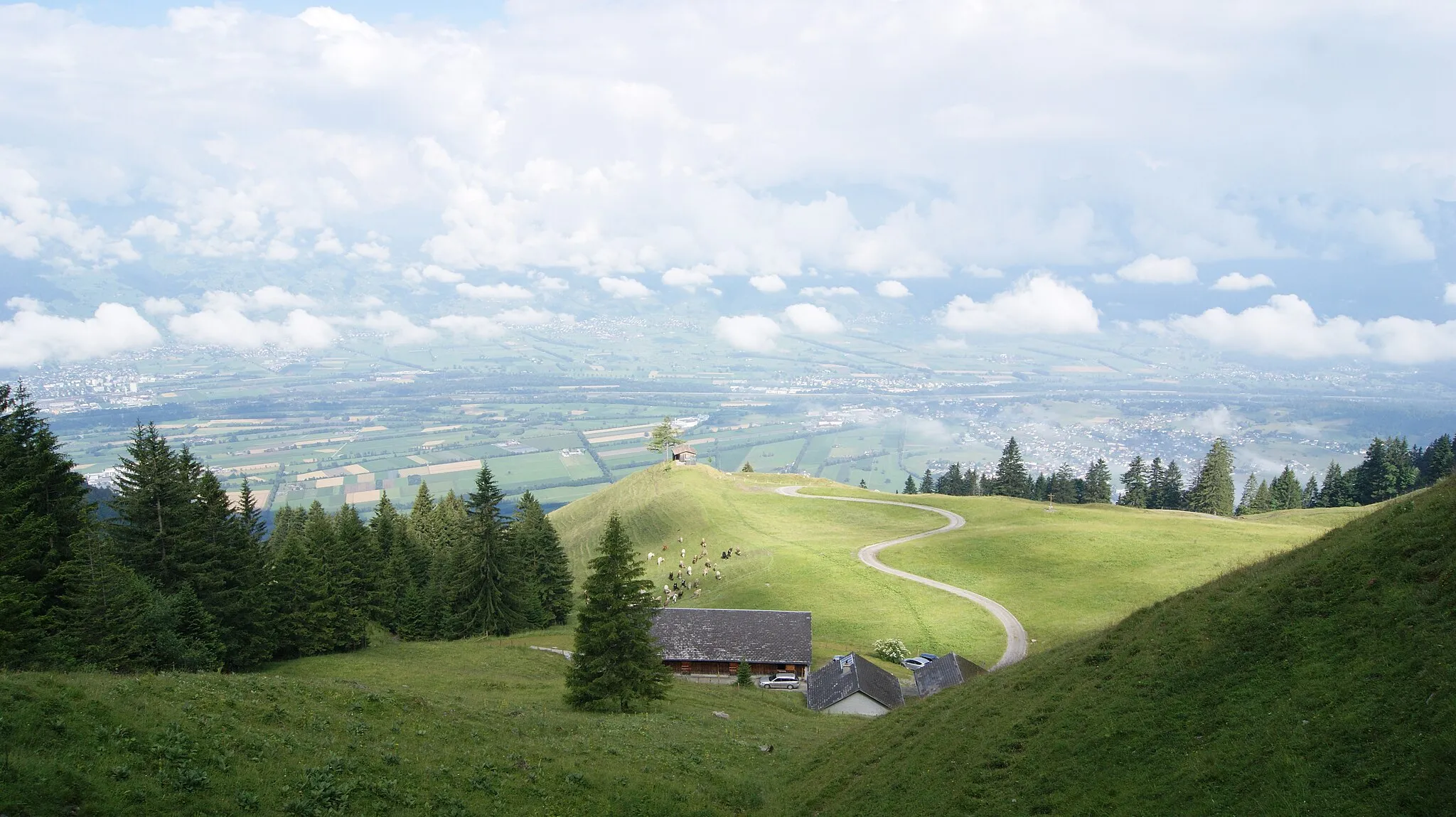Photo showing: Gafaduraalpe, Planken, Principality of Liechtenstein.