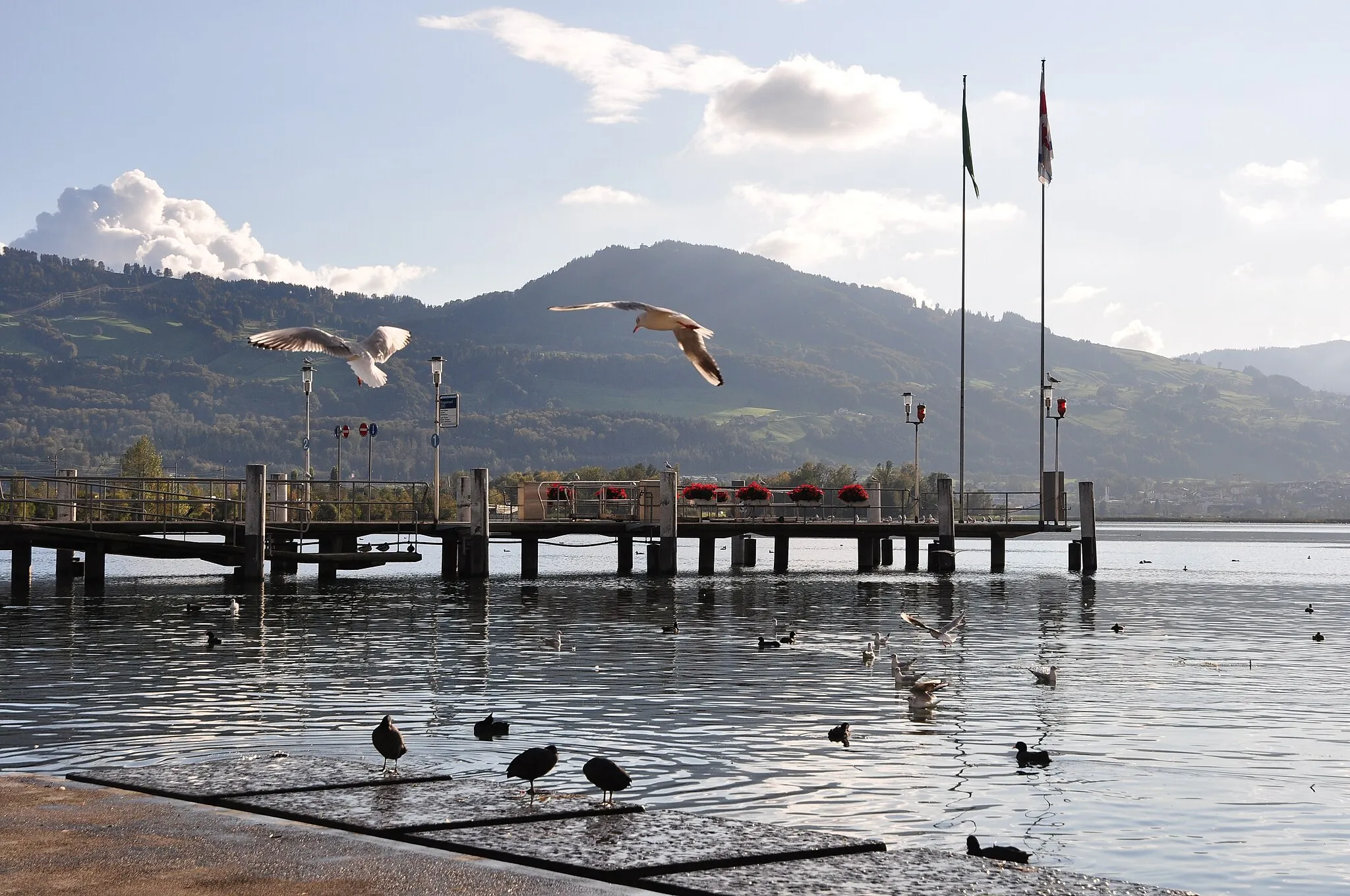 Photo showing: Harbour area respectively Zürichsee-Schifffahrtsgesellschaft (ZSG) landing gate in Rapperswil (Switzerland), Etzel mountain in the background.