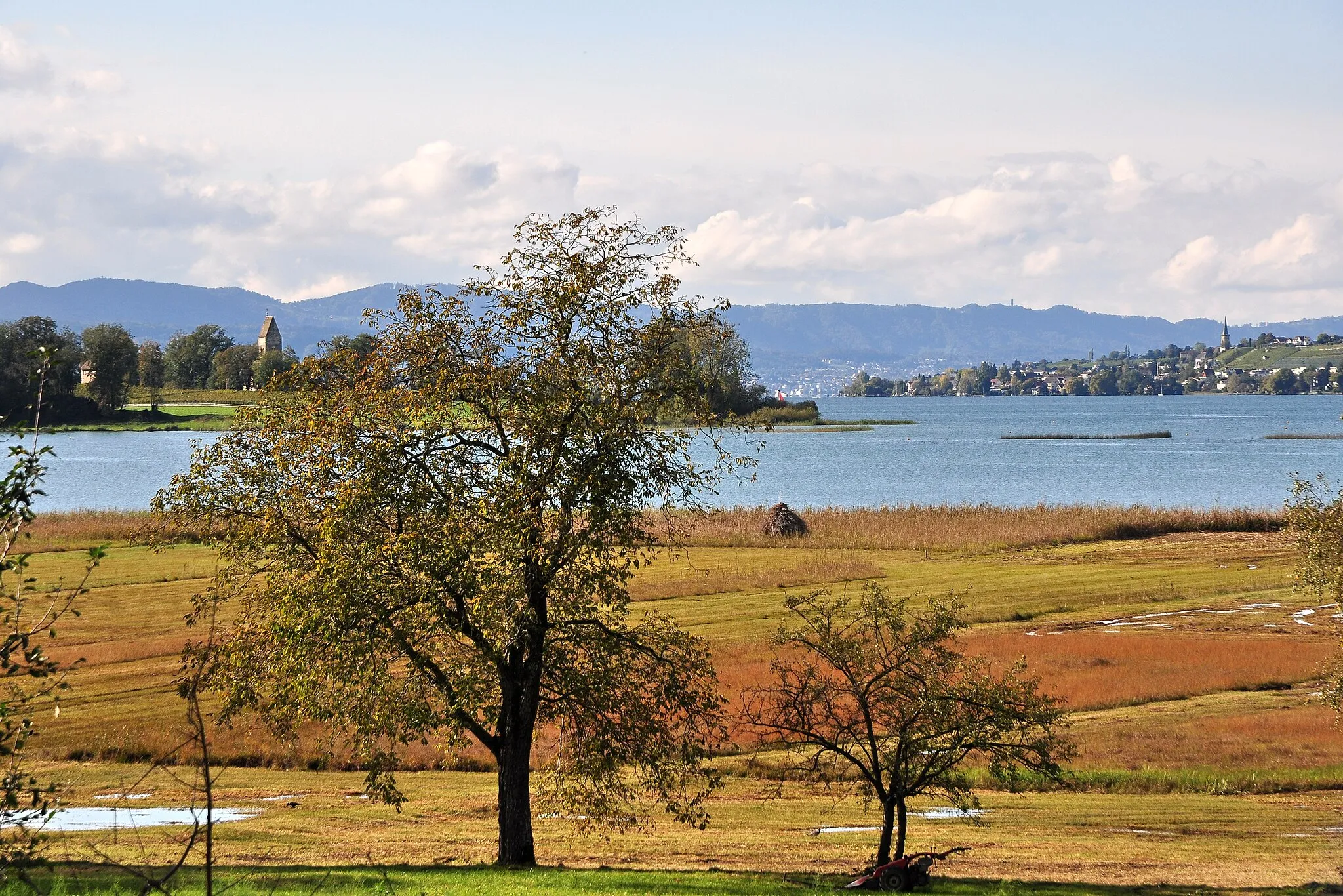 Photo showing: Ufenau on Zürichsee, St. Martin church to the left, St. Peter & Paul to the right, as seen from Seedamm nearby Hurden, Frauenwinkel proteced area in the foreground, Albis in the background.