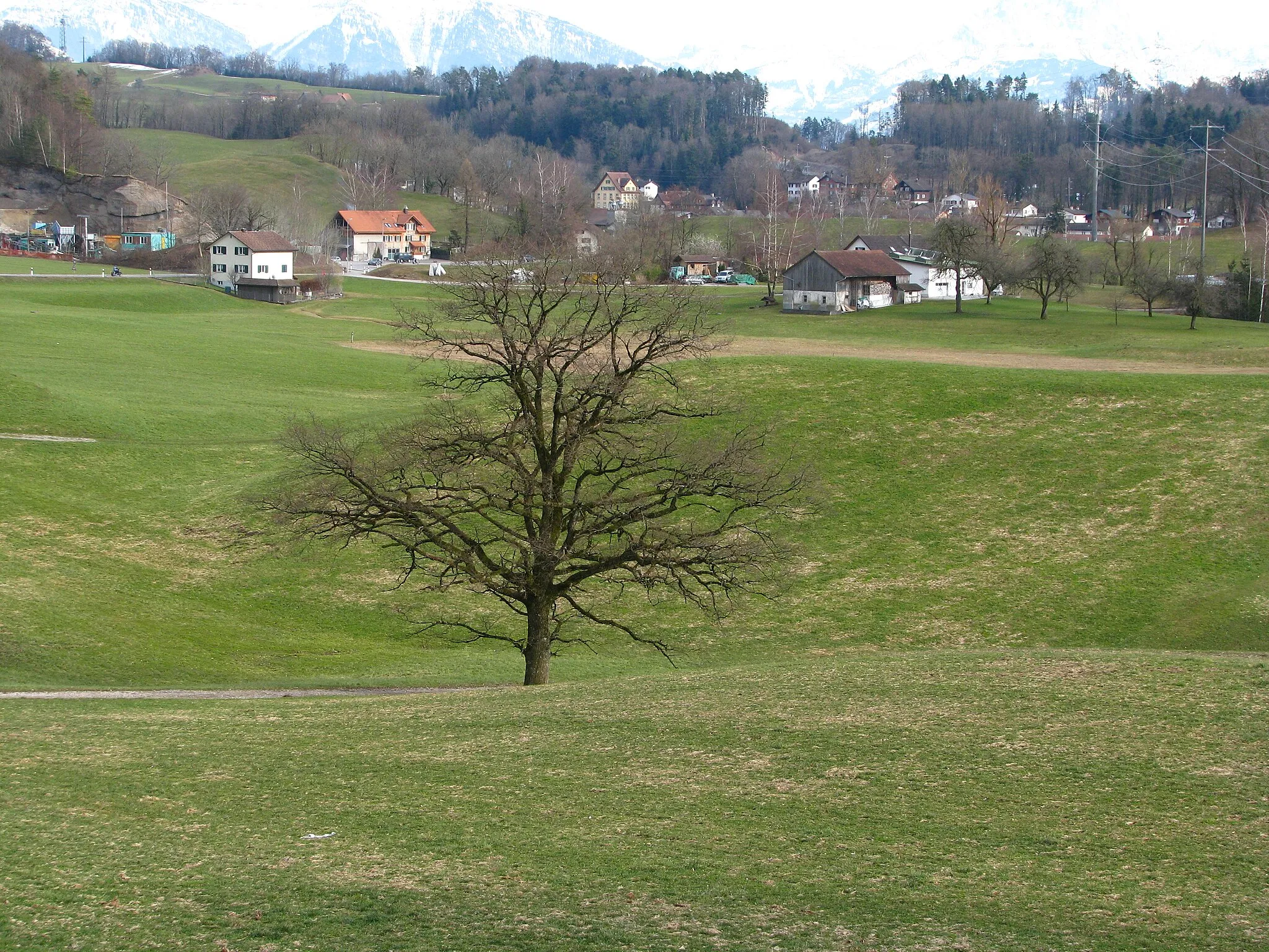 Photo showing: Ermenswil in Eschenbach (Switzerland) as seen from Täusi in Rüti (ZH)