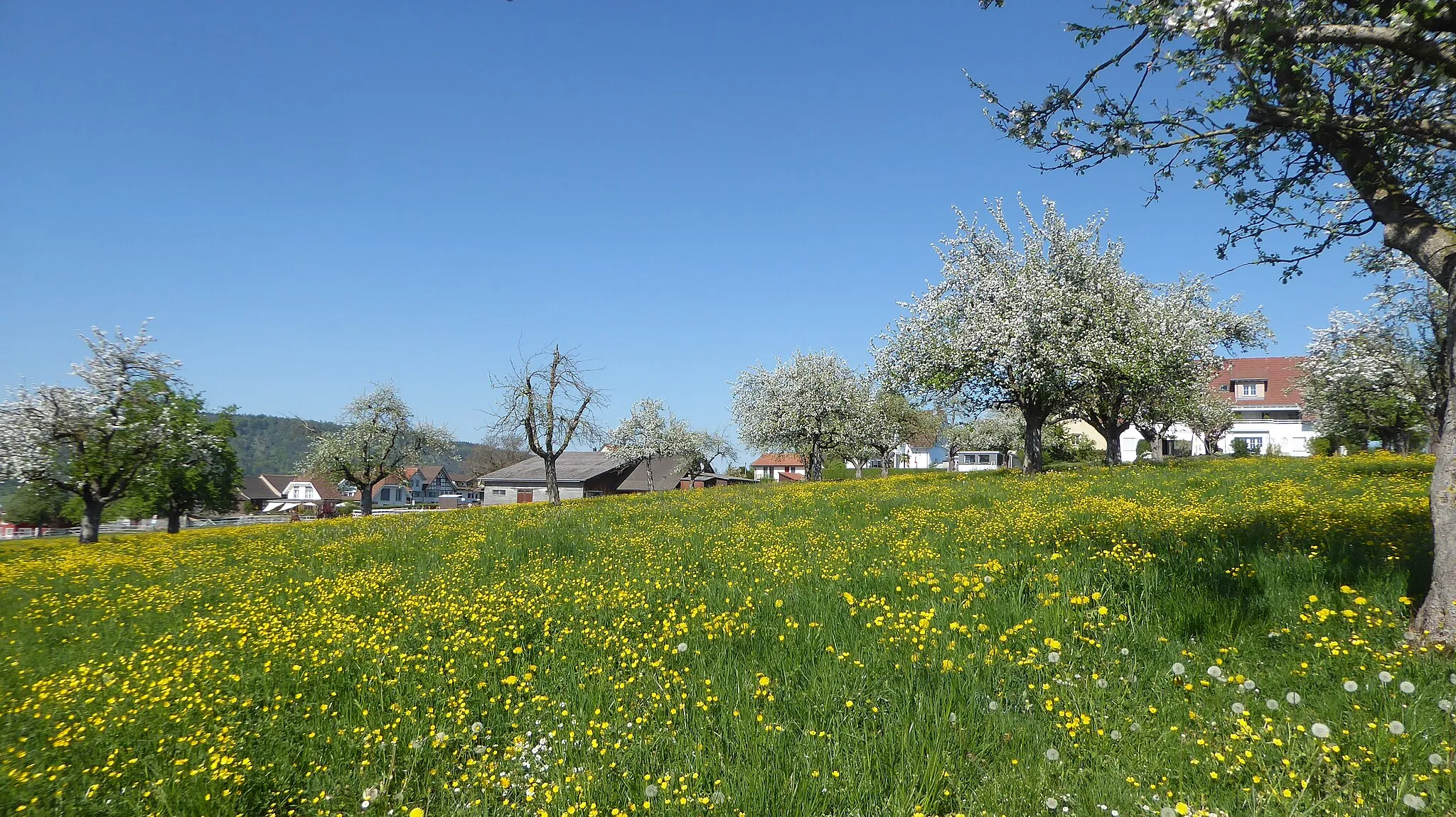 Photo showing: Anetswil, von Südwesten