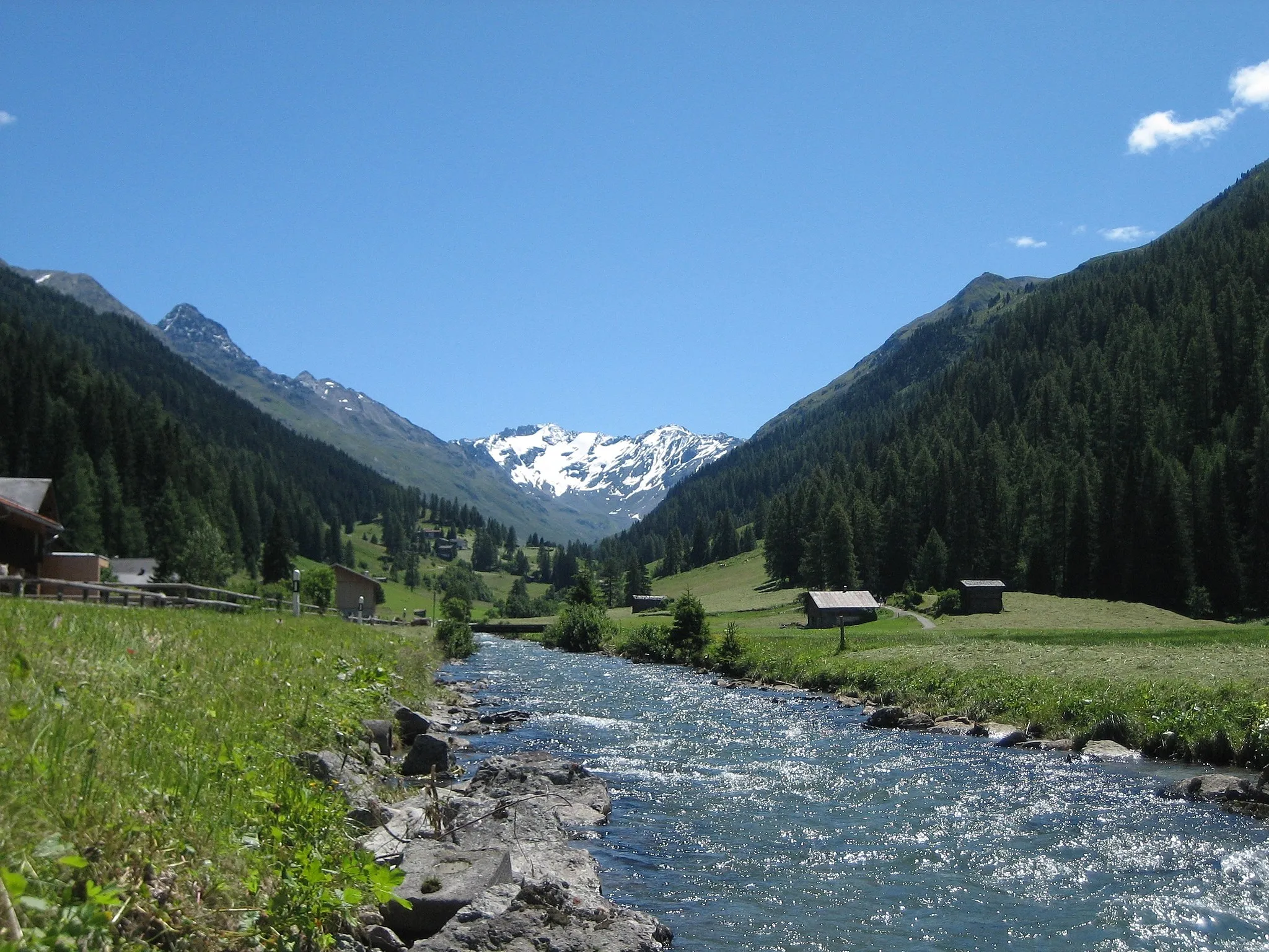 Photo showing: Im Dischma, links das Flüela Schwarzhorn und im Talhintergrund Piz Grialetsch (3131 m) und Scalettahorn (3068 m), davor der Scalettagletscher.