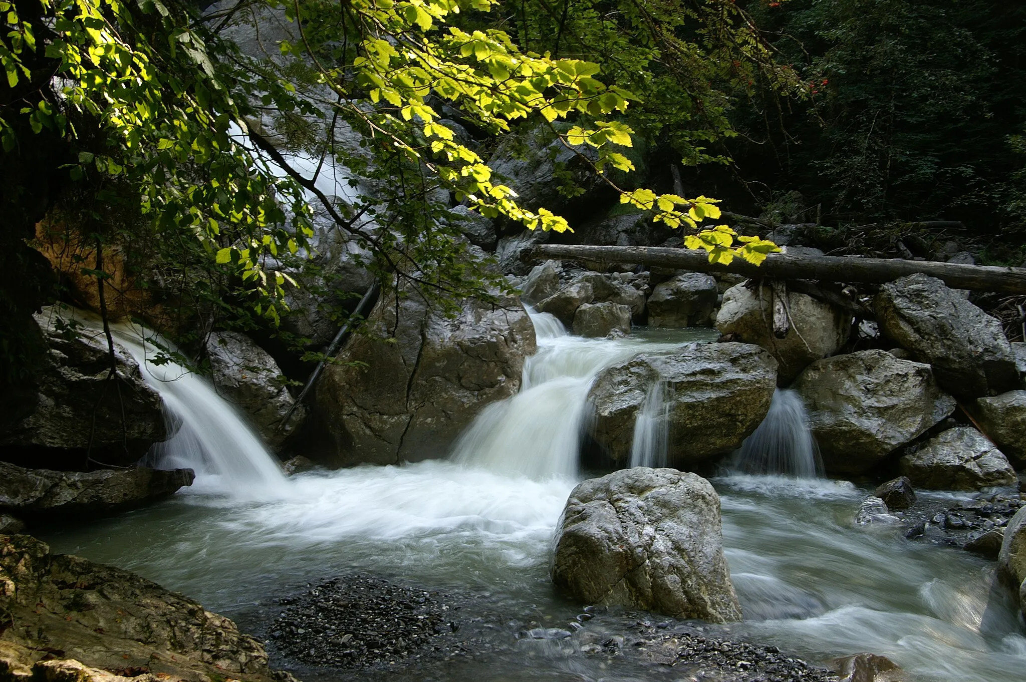 Photo showing: Die Kobelschlucht verläuft parallel zur Rappenlochschlucht in Dornbirn und wird zum Canyoning begangen. Im Bild der Wasserlauf oberhalb der Amannbrücke mit Buchenblätter.