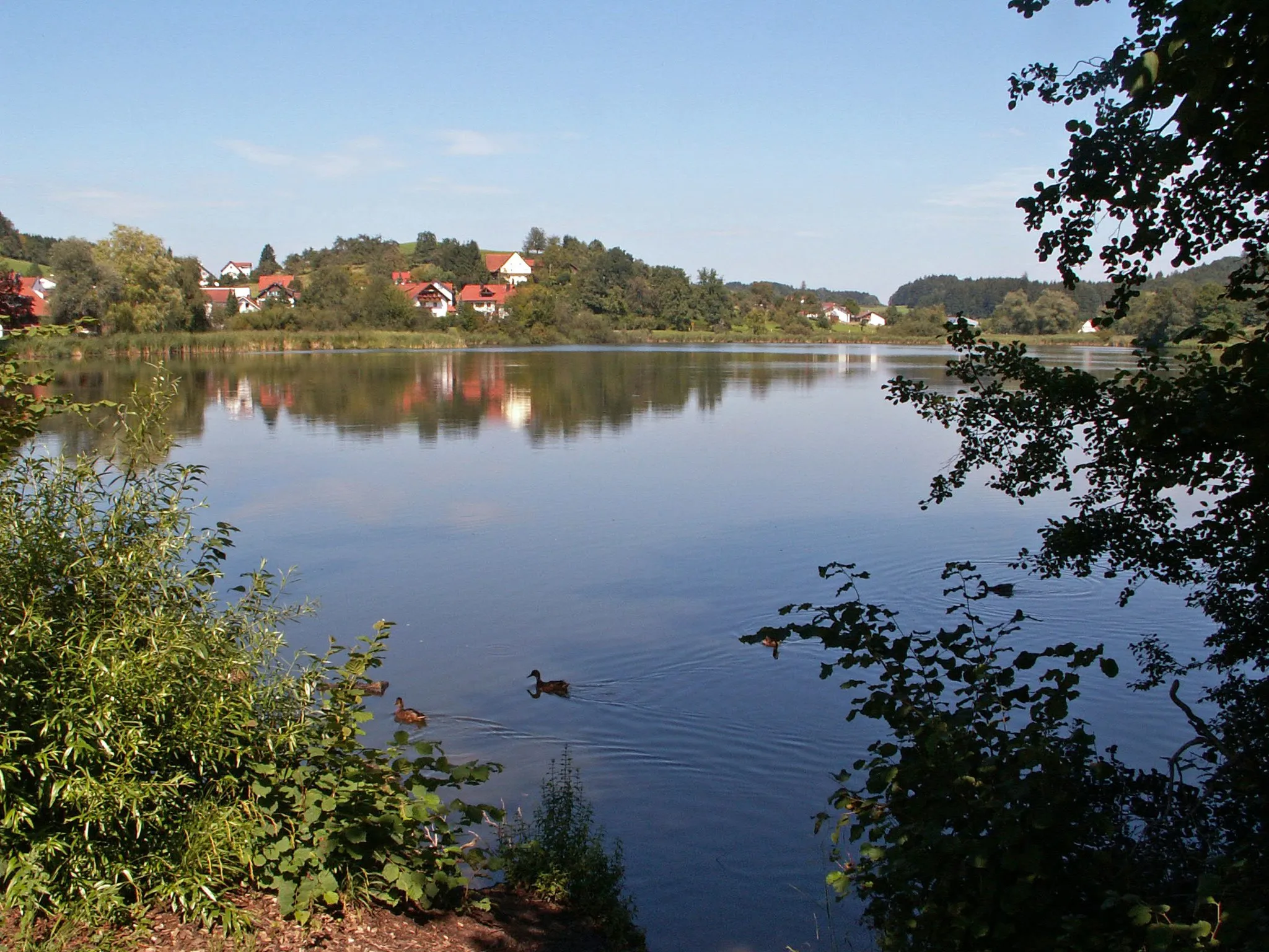 Photo showing: Weißensberger Weiher von Süden, Weißensberg