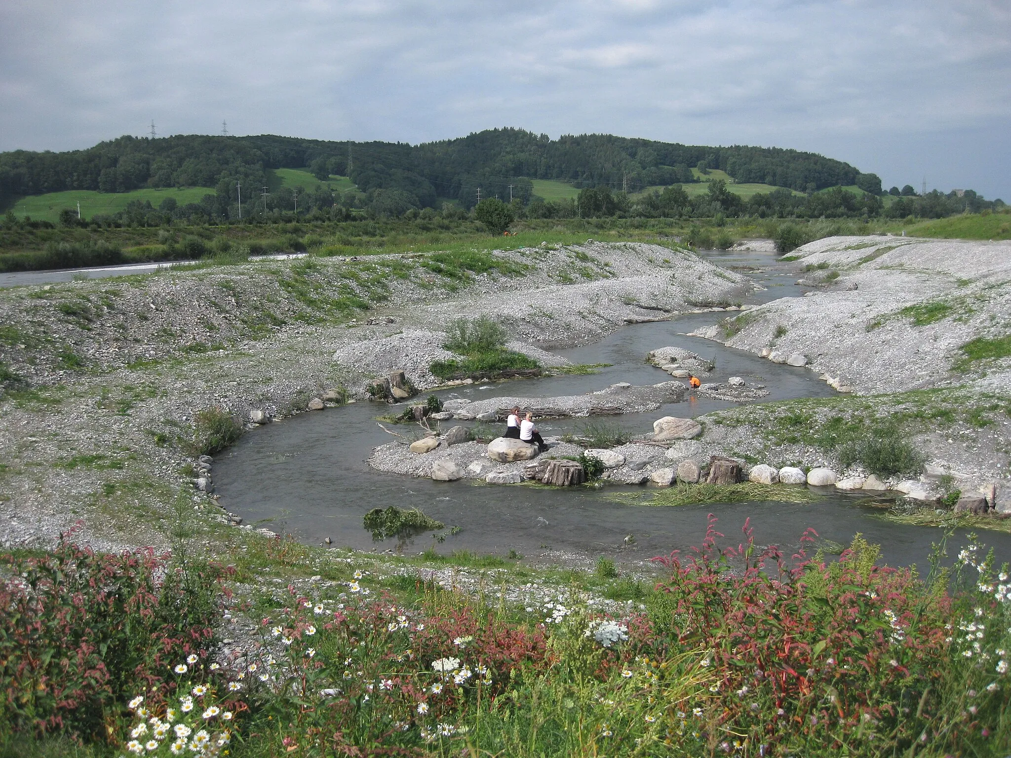 Photo showing: Illspitz, Spiersbach, Mündung in Rhein neu renaturiert (2008)