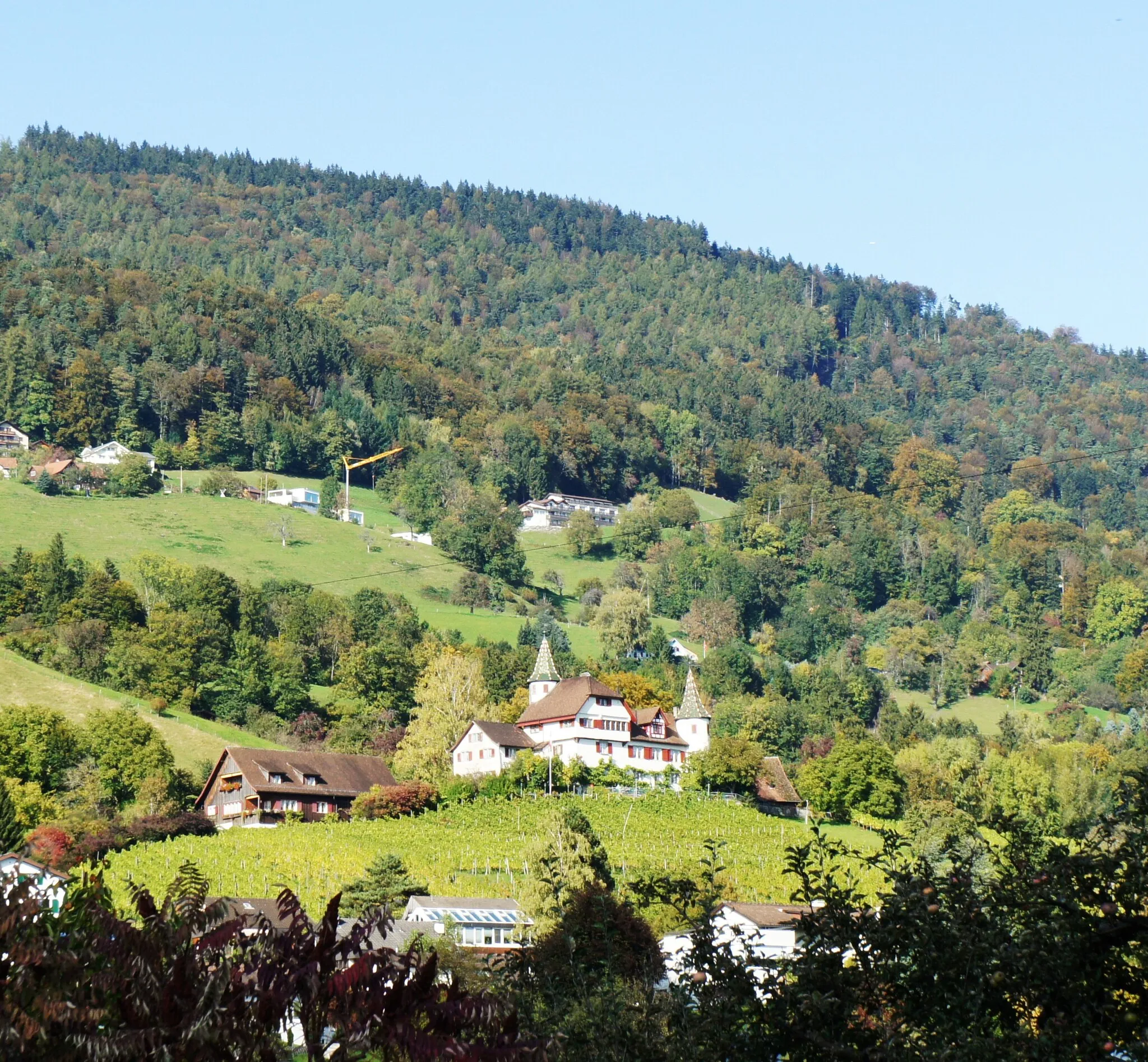 Photo showing: Oberhalb eines Rebberges in Marbach SG steht das Schloss Weinstein. Darüber (am Waldrand) ist das Wohn- und Pflegeheim Sonnenschein in Mohren (Gemeinde Reute AR) zu erkennen.