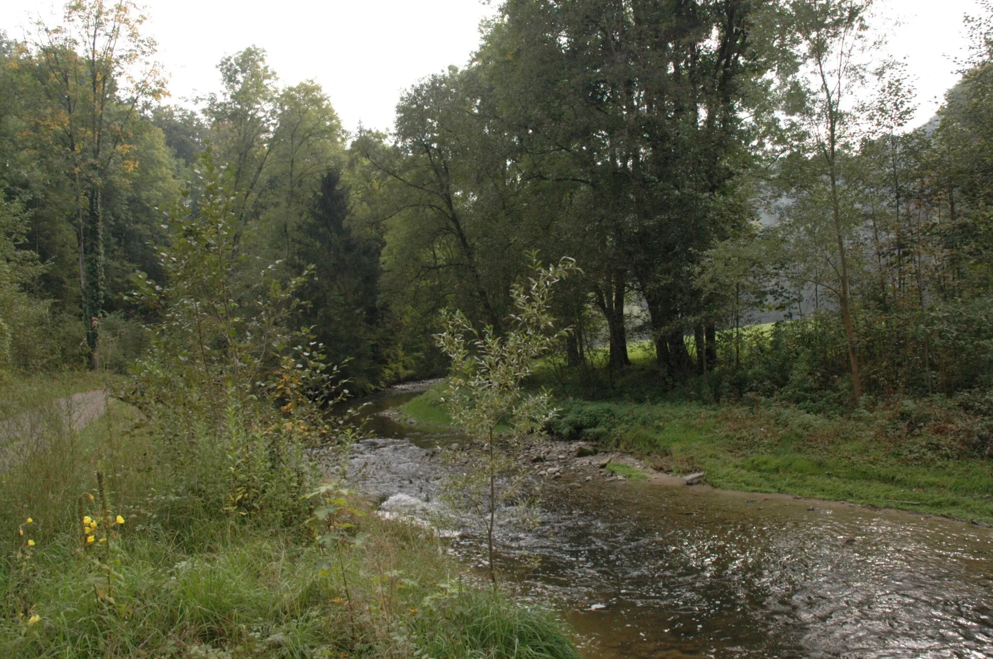 Photo showing: Glatt in der Nähe der Glattbrücke zwischen Flawil und Gossau