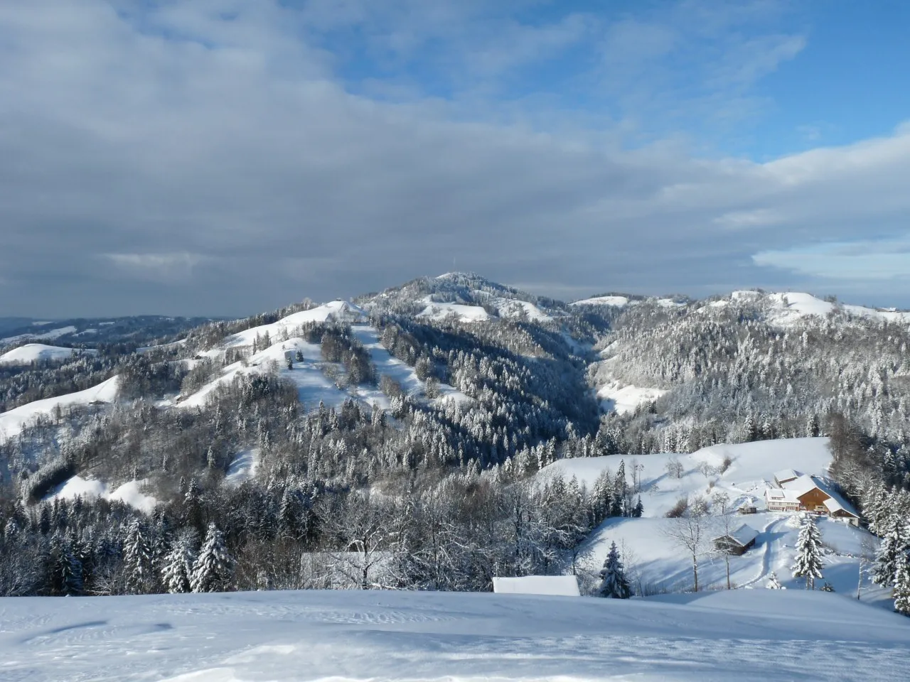 Photo showing: View from Rütiwis to Hörnli