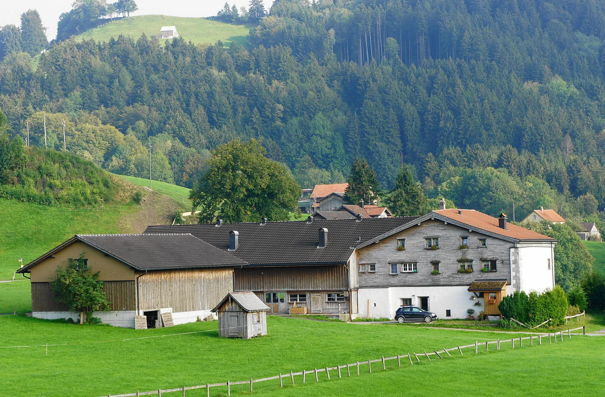 Photo showing: Das Bauernhaus Ulrichlis von Norden gesehen, links ist ein Stall angebaut, nördlich davon steht eine Scheune freistehend, in der Wiese zwischen Scheune und Wohnhaus steht eine kleine Hütte, im Hintergrund sind Häuser des Weilers Lank (Gemeinde Schlatt-Haslen AI) zu sehen.
