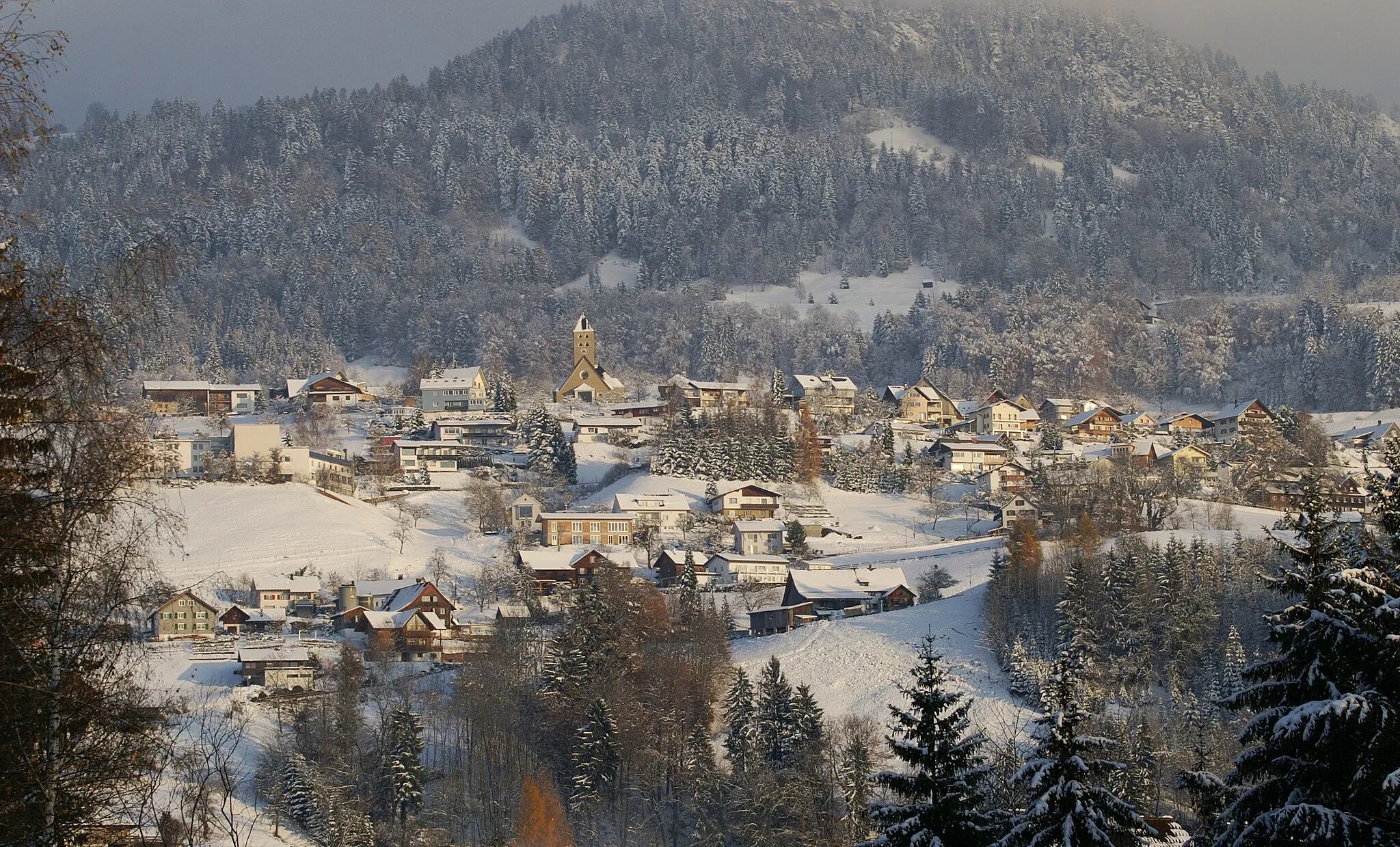 Photo showing: Blick von Sulz in Vorarlberg auf die Gemeinde Zwischenwasser