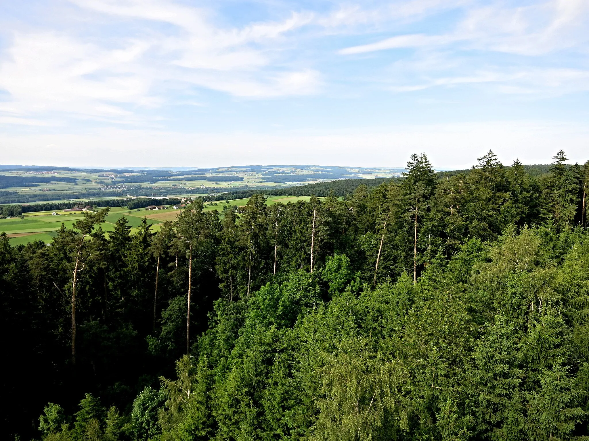 Photo showing: Aussicht vom Stählibuckturm Richtung Nord Osten