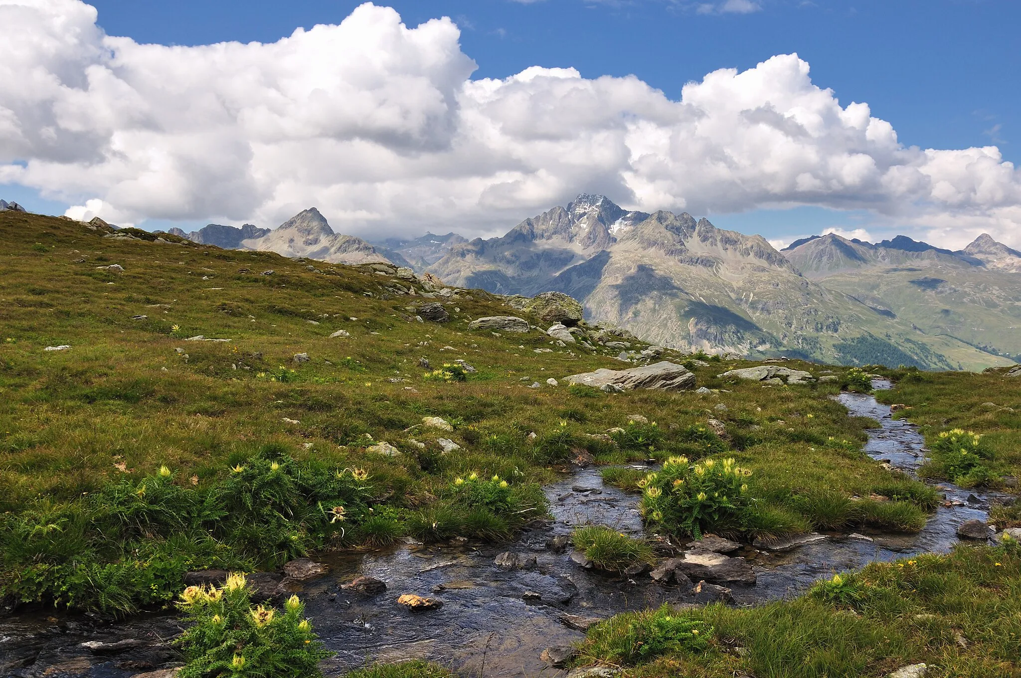 Photo showing: Switzerland, Graubünden, Wasserweg (Water trail) above Sils