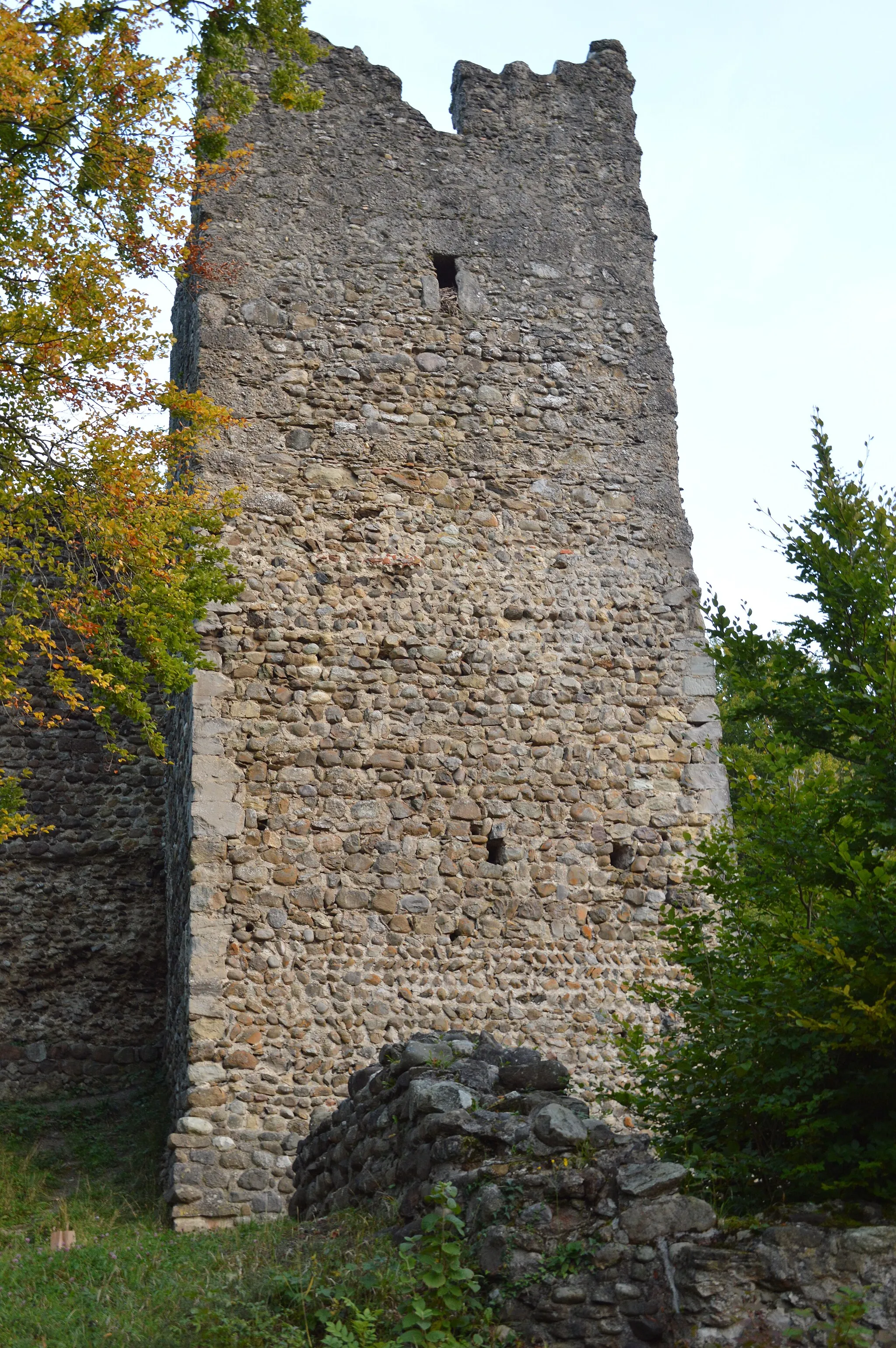 Photo showing: Bergfried der Ruine Alt-Ramschwag