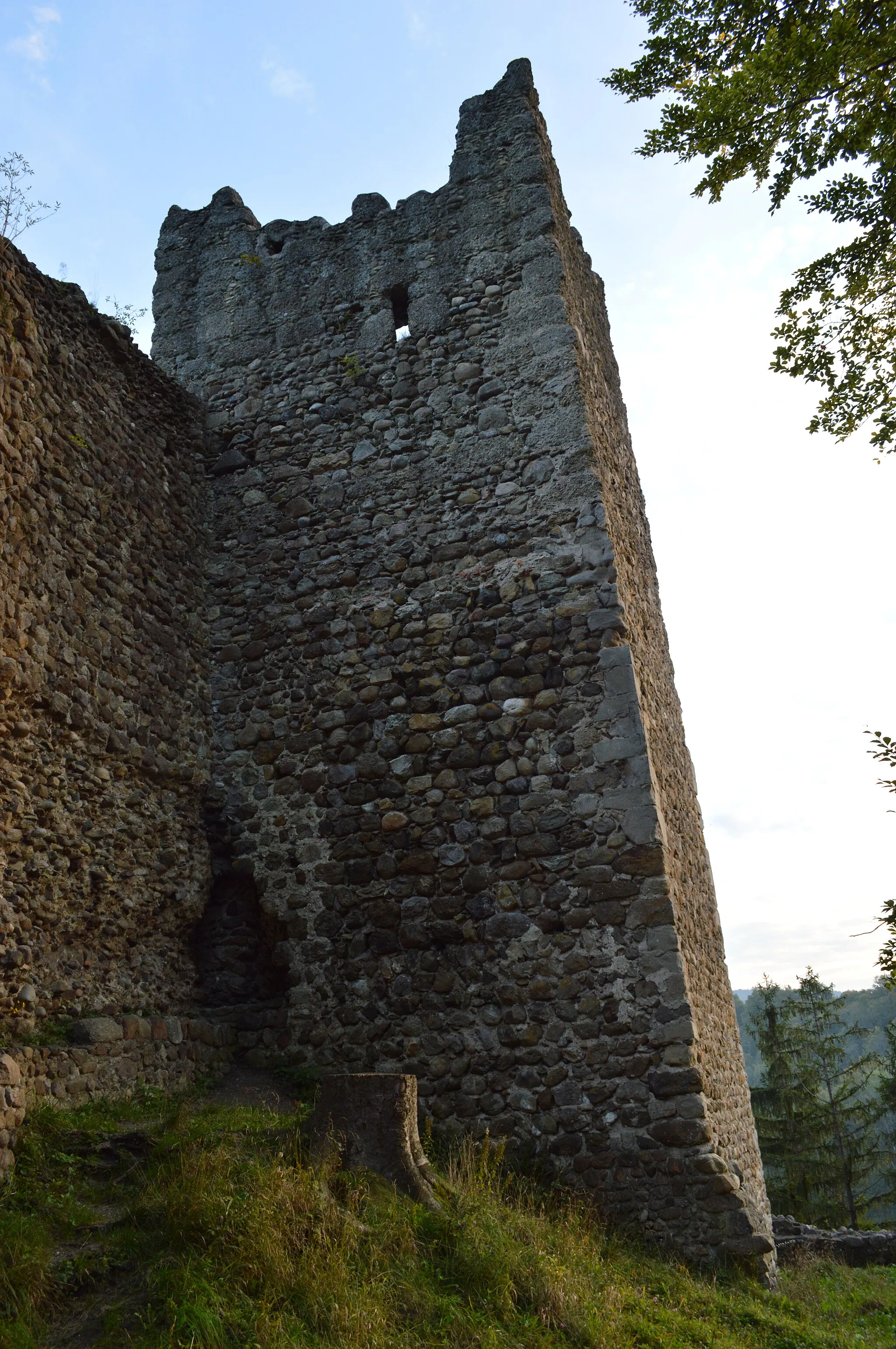 Photo showing: Bergfried der Ruine Alt-Ramschwag. Ansicht vom Burginneren aus.