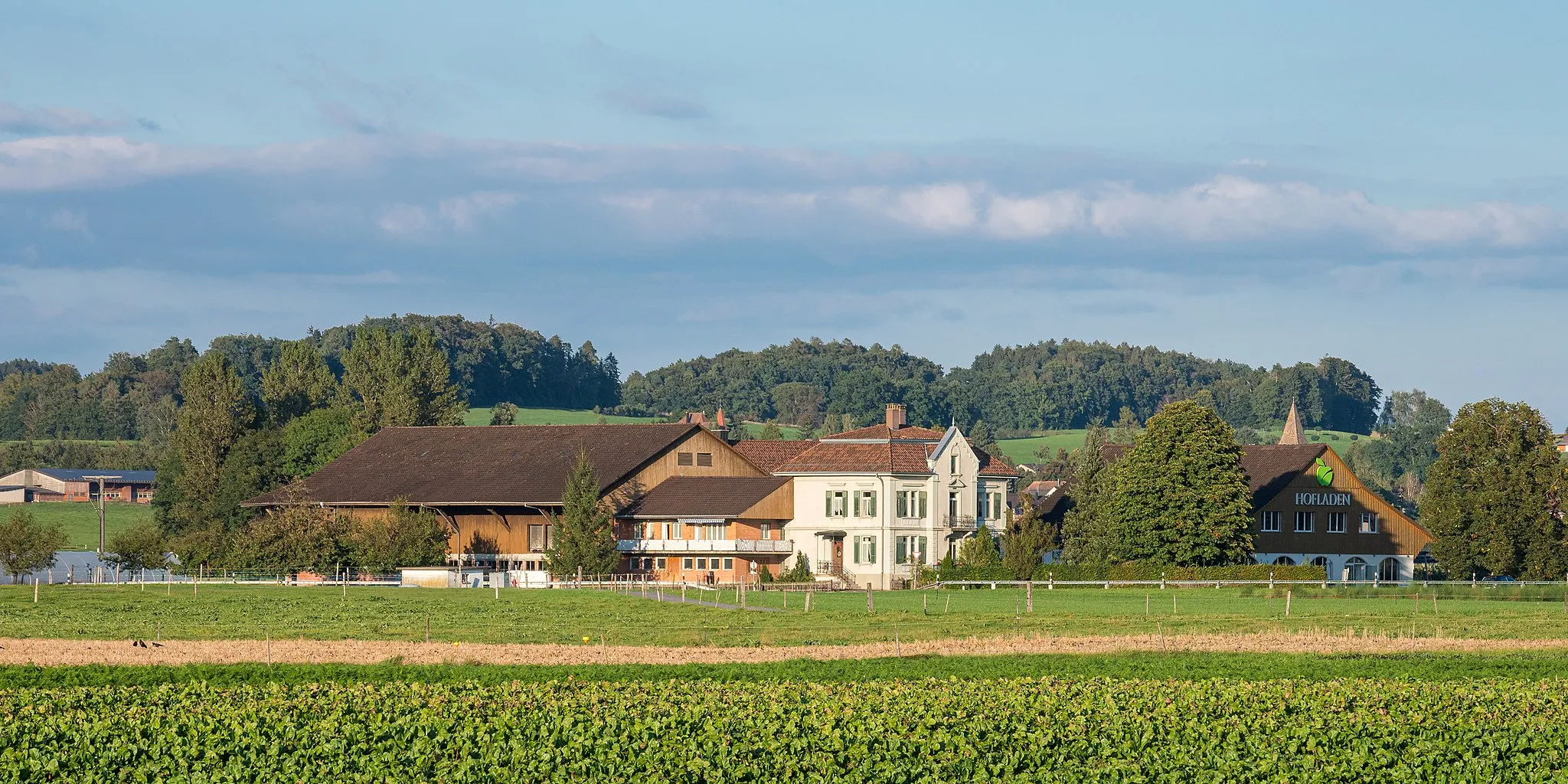 Photo showing: Gillhof, Bonau (Gemeinde Wigoltingen)