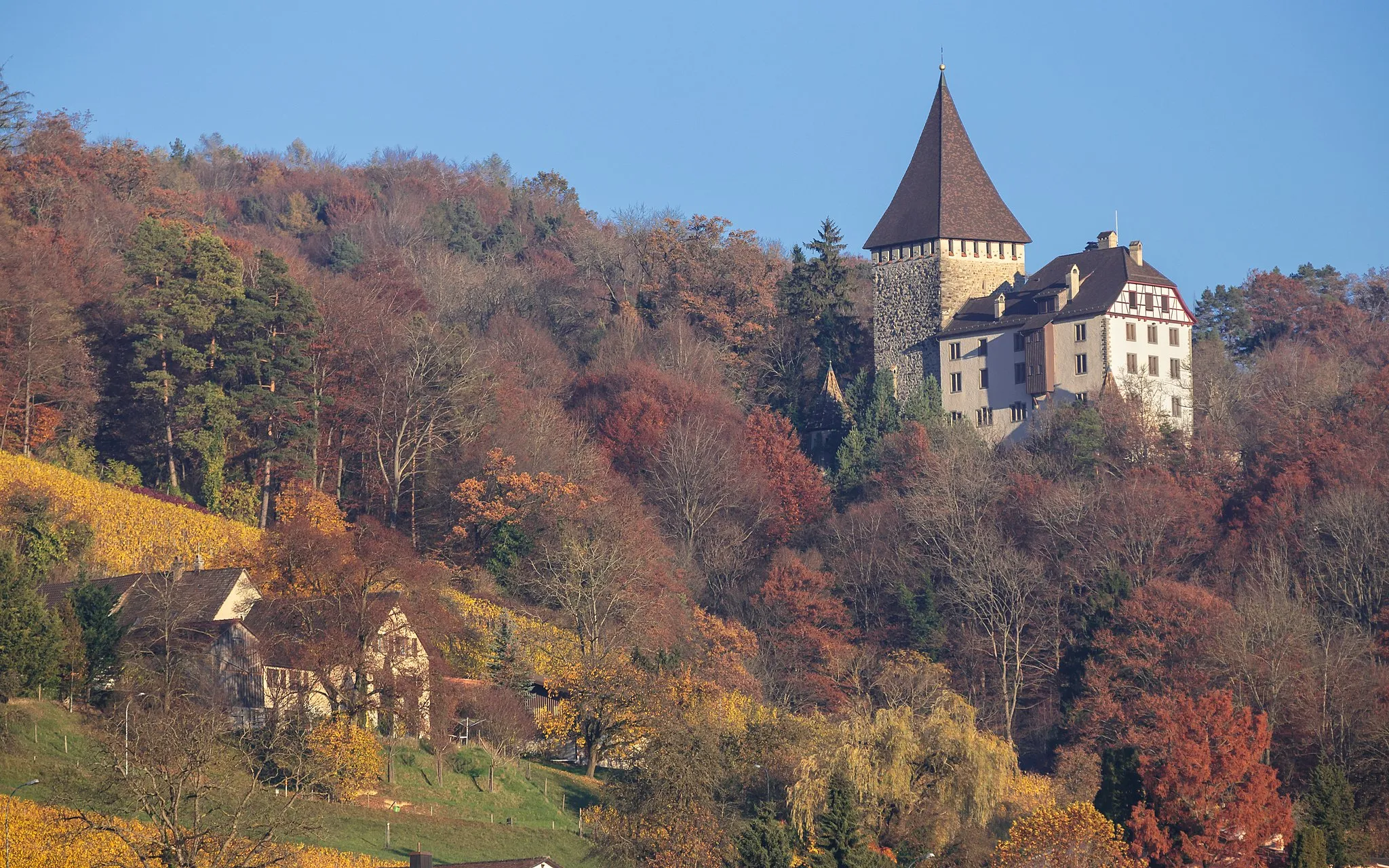 Photo showing: Schloss Weinfelden am Ottenberg