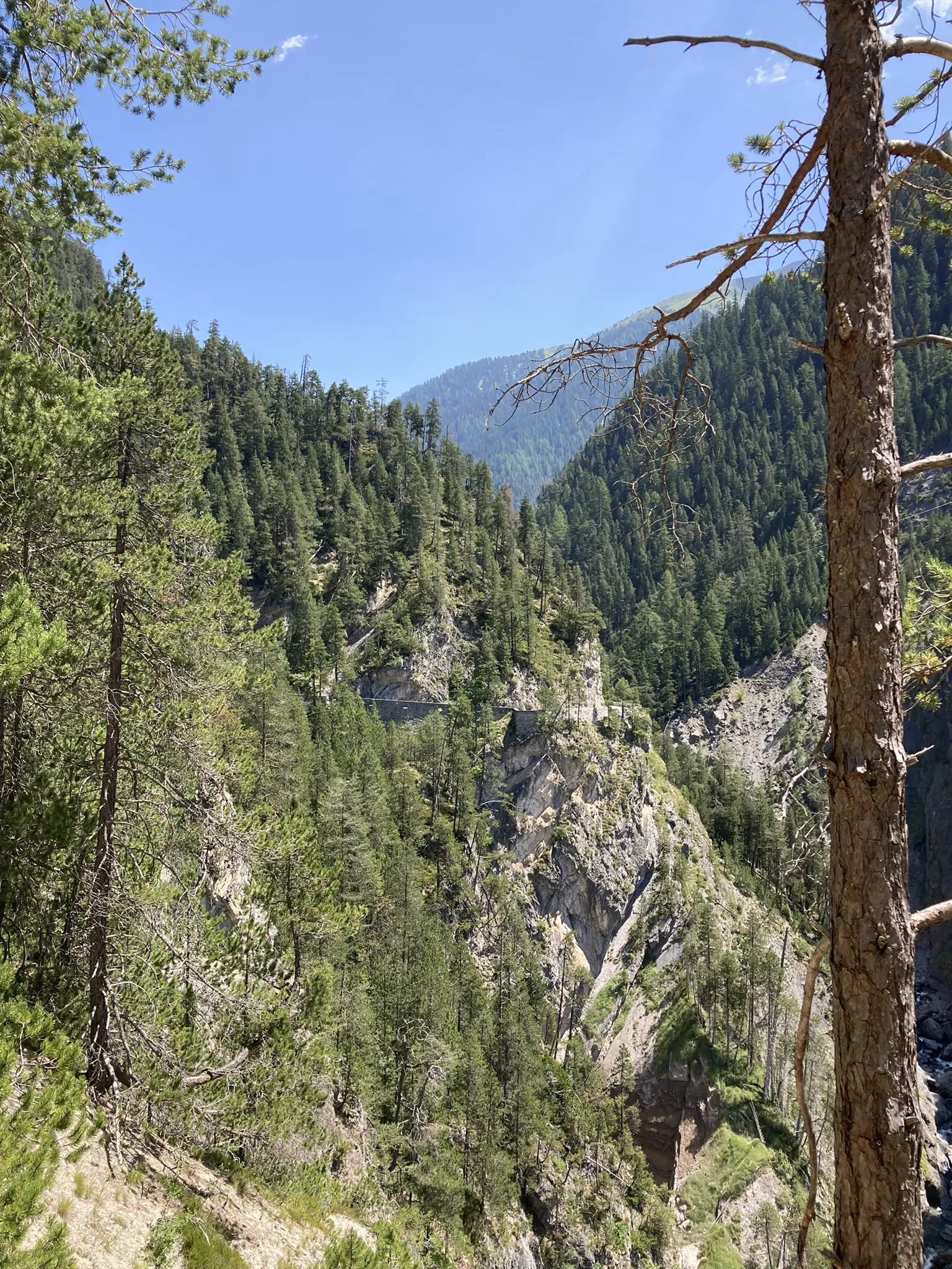 Photo showing: Blick nach Osten auf den Bärentritt vom Wanderweg zur Station Davos Wiesen