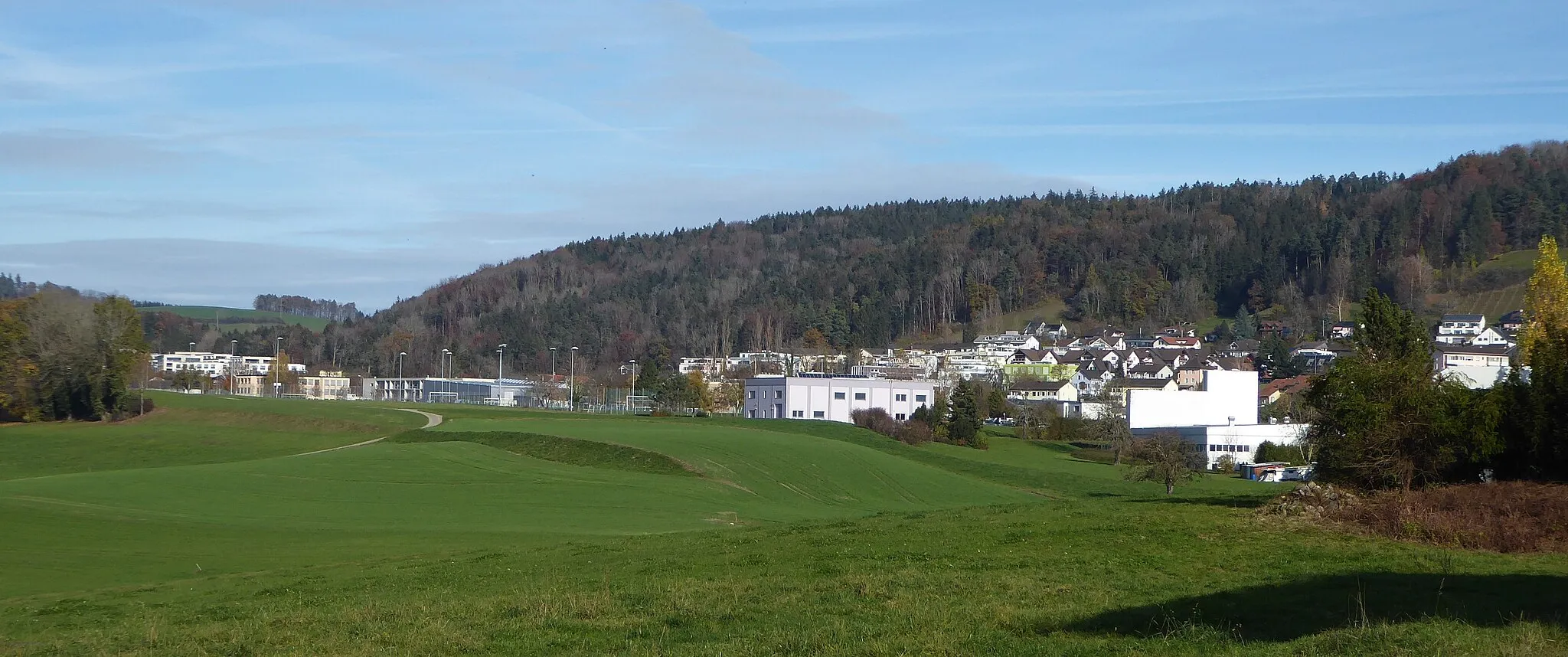 Photo showing: Bronschhofen, von Süden aufgenommen