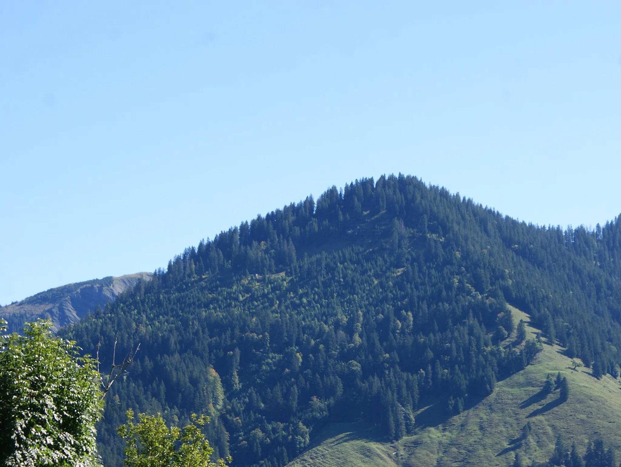 Photo showing: Sattelspitz (1562 m.ü.M.) photographed from Ebnit in Vorarlberg, Austria.