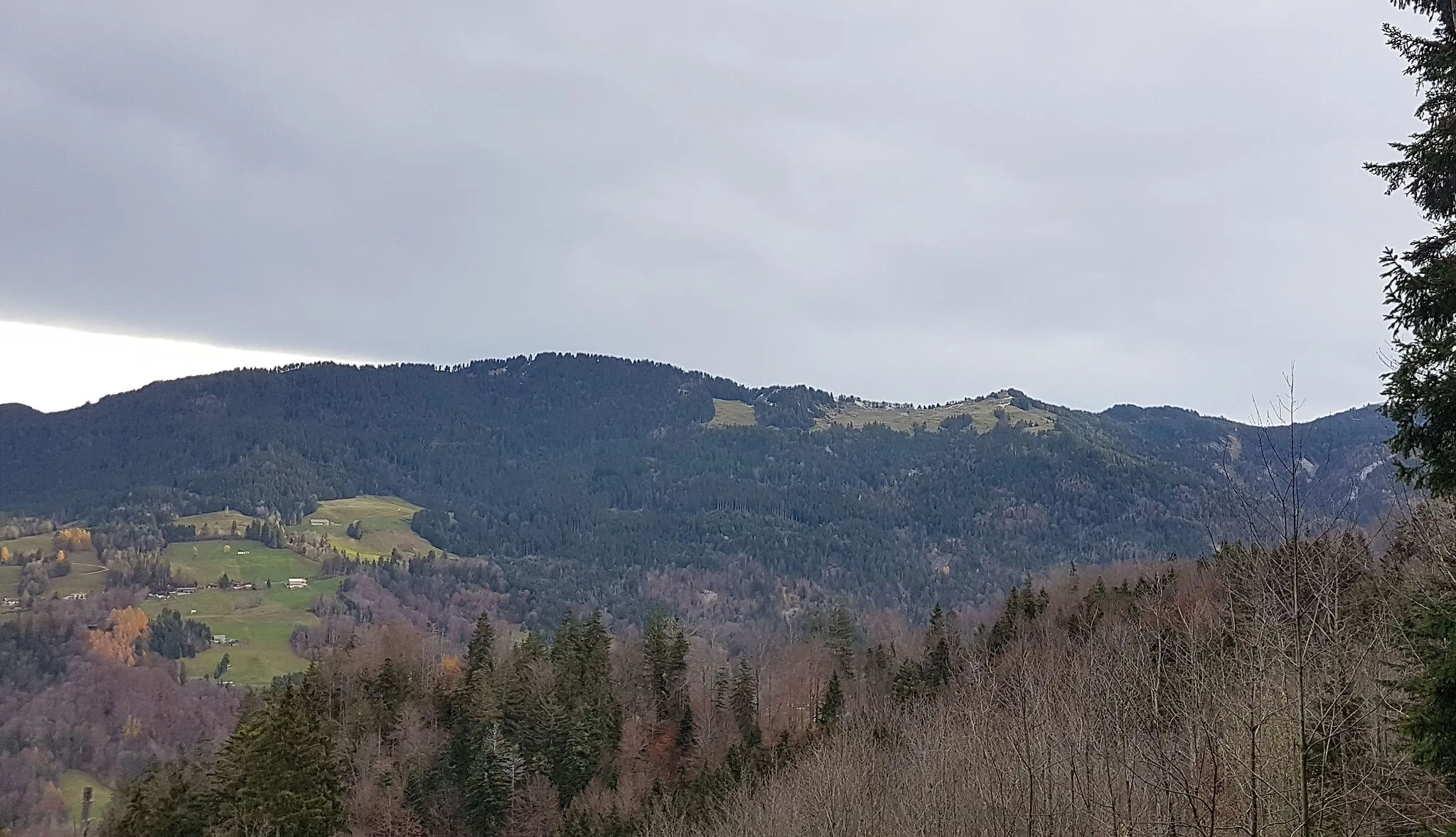 Photo showing: View to the Kehlegger Viehweide (pasture), Schauner. Rearmost mountain range: Lank (Boedele), Hochaelpele, Gschwendt, Gschwendtsattel, Graesakopf. Photographed in November 2019 from the hiking trail to the Karrenseilbahn top station.